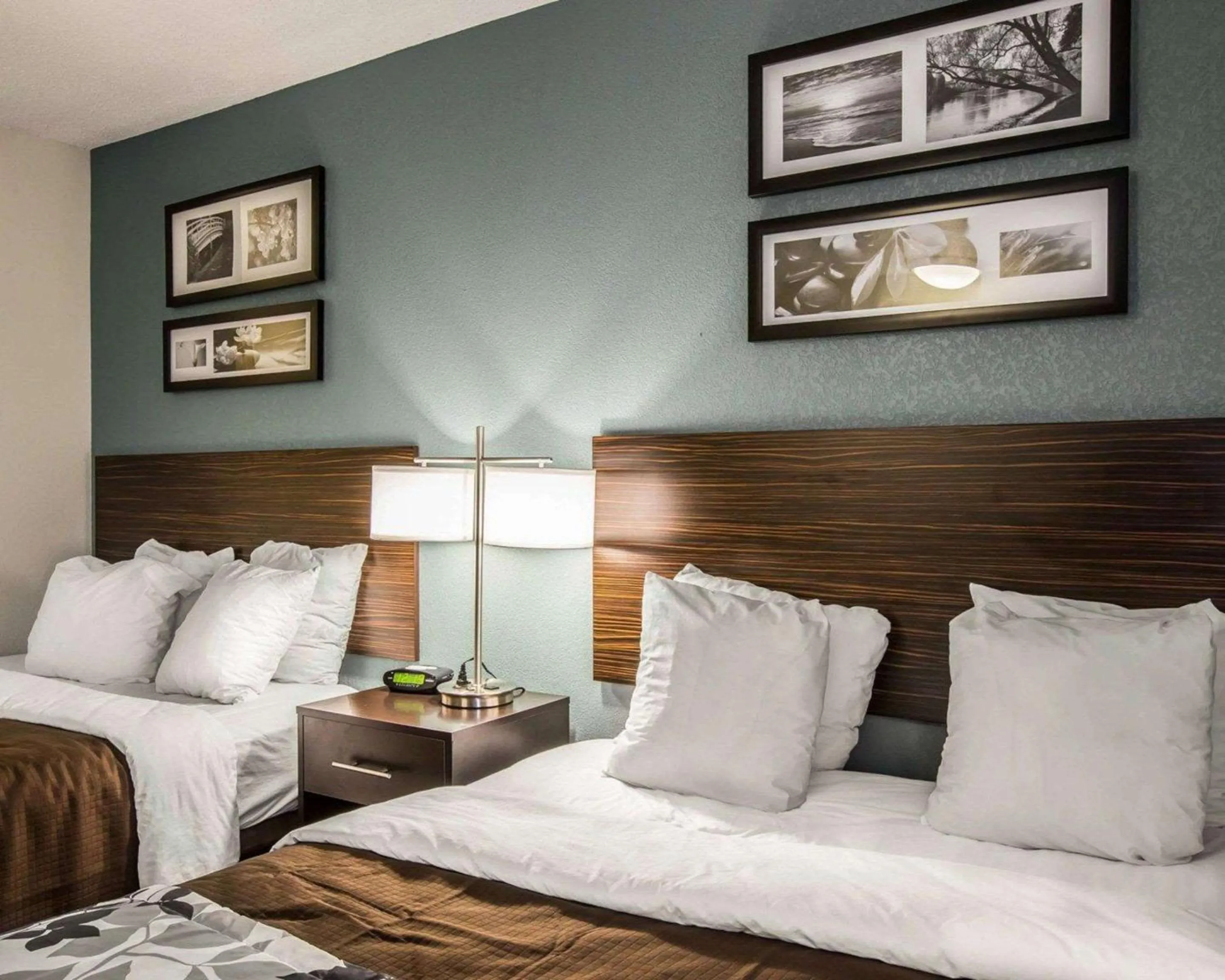 Bedroom, Bed in Sleep Inn Greensboro Airport