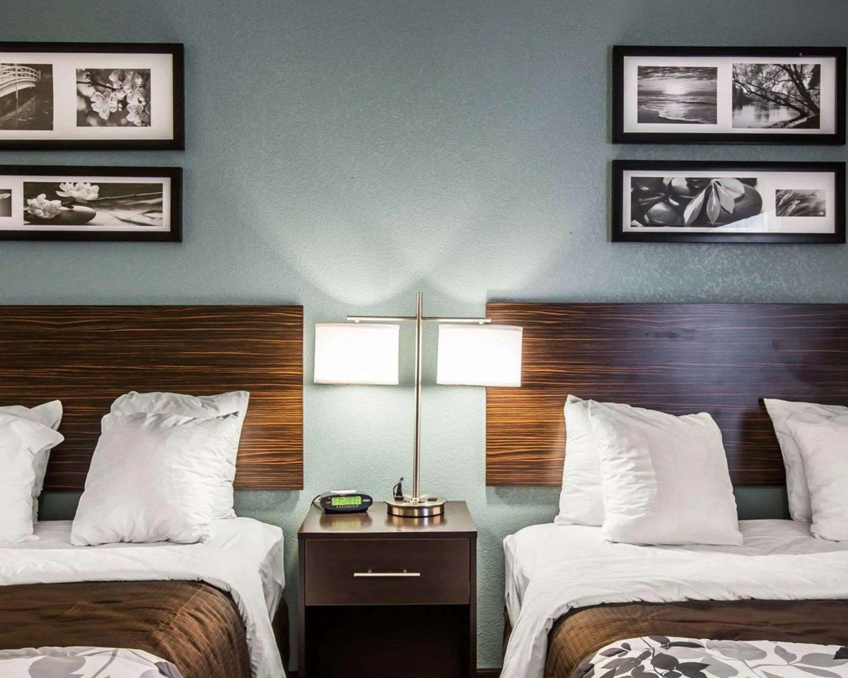 Bedroom, Bed in Sleep Inn Greensboro Airport