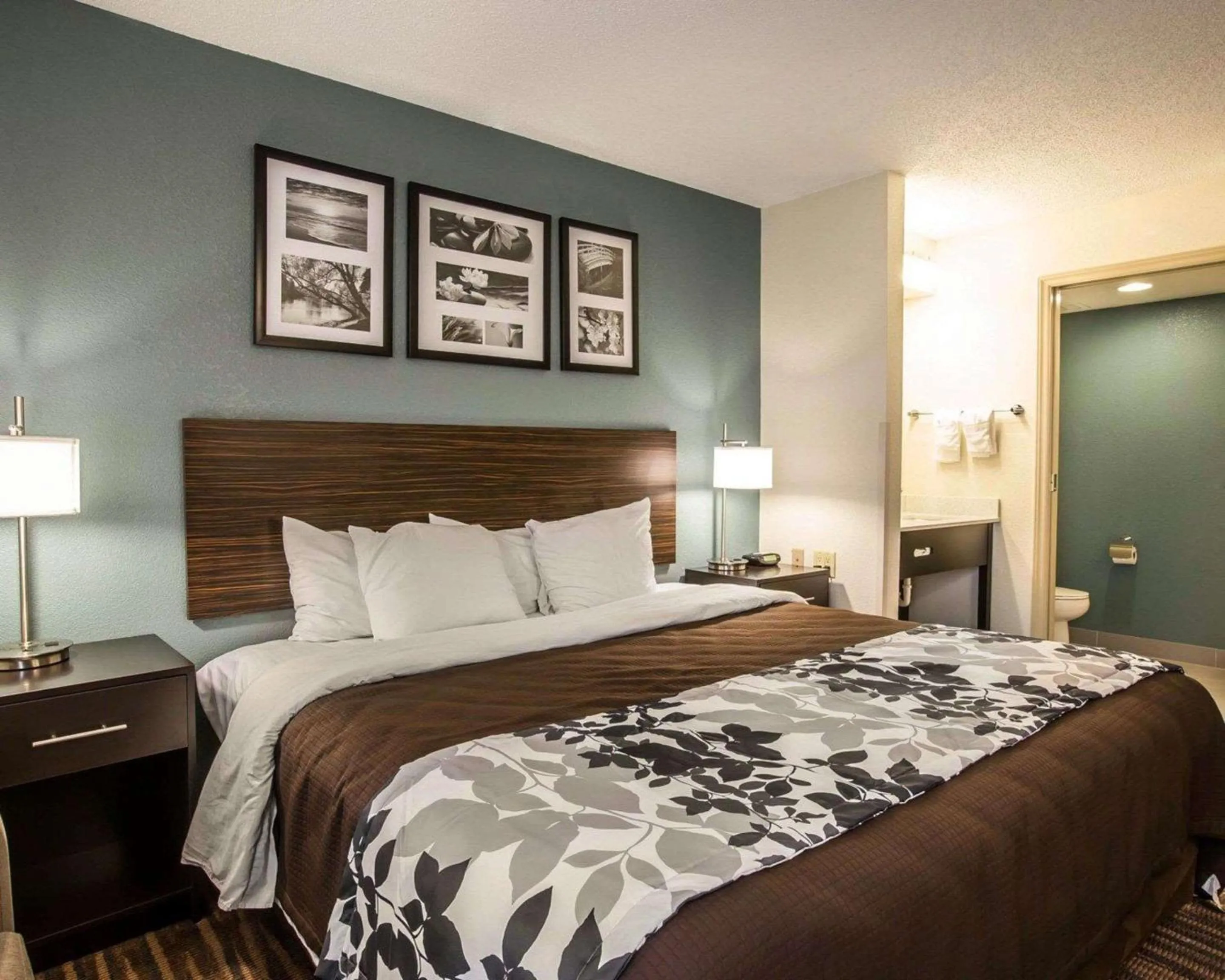 Bedroom, Bed in Sleep Inn Greensboro Airport