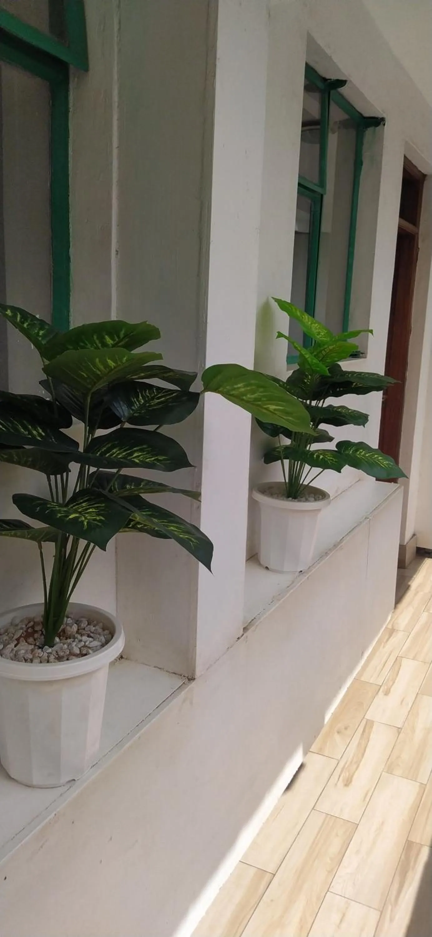 Property building in Plus254 Hotel