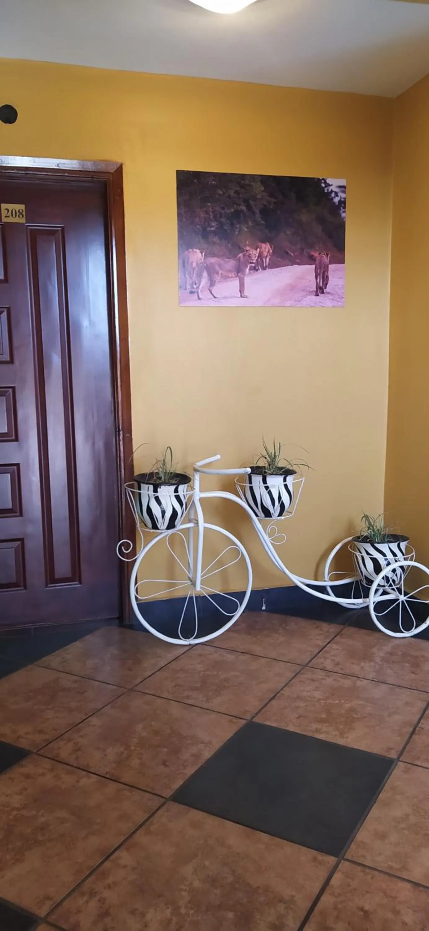 Cycling in Plus254 Hotel