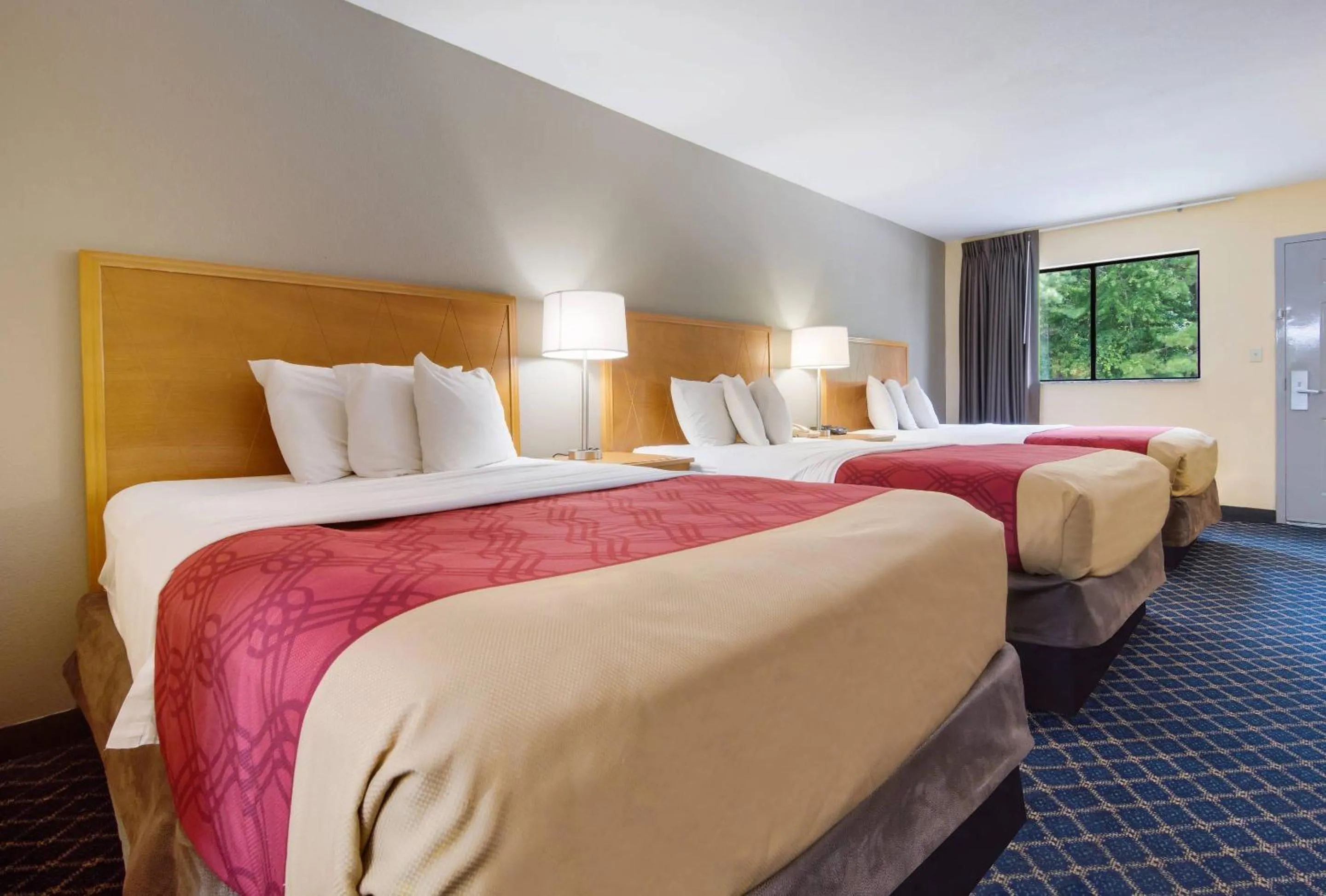 Bedroom, Bed in Econo Lodge Battleboro - Rocky Mount I-95