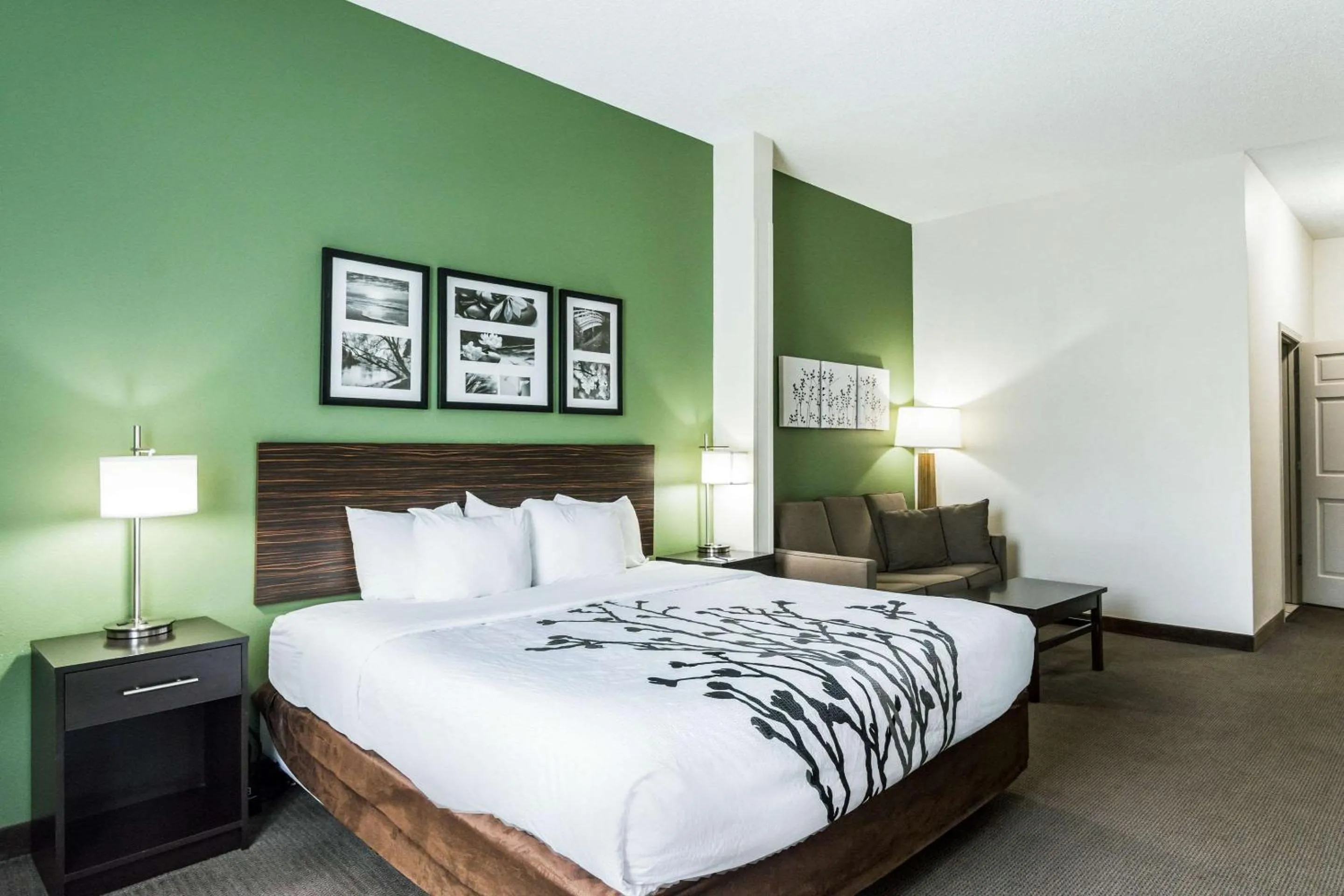 Photo of the whole room, Bed in Sleep Inn & Suites Smithfield near I-95