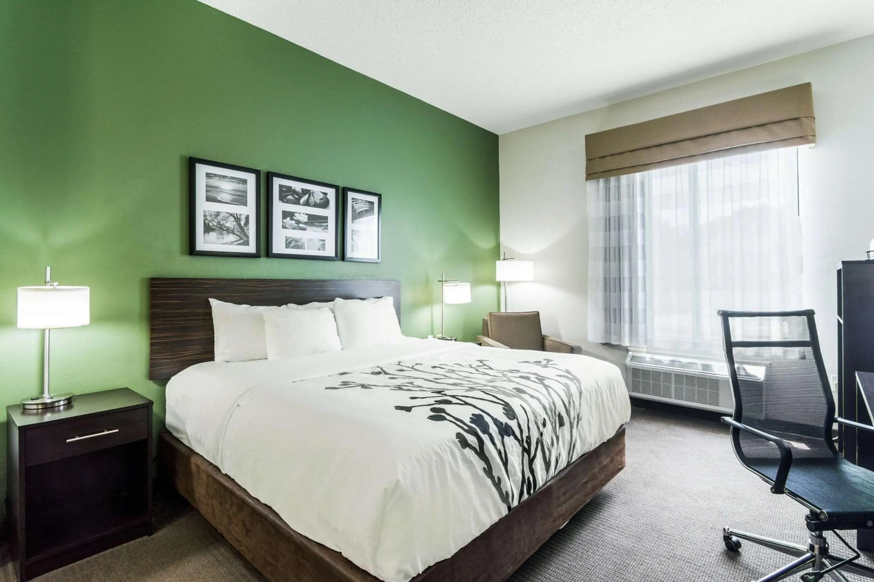 Photo of the whole room, Bed in Sleep Inn & Suites Smithfield near I-95