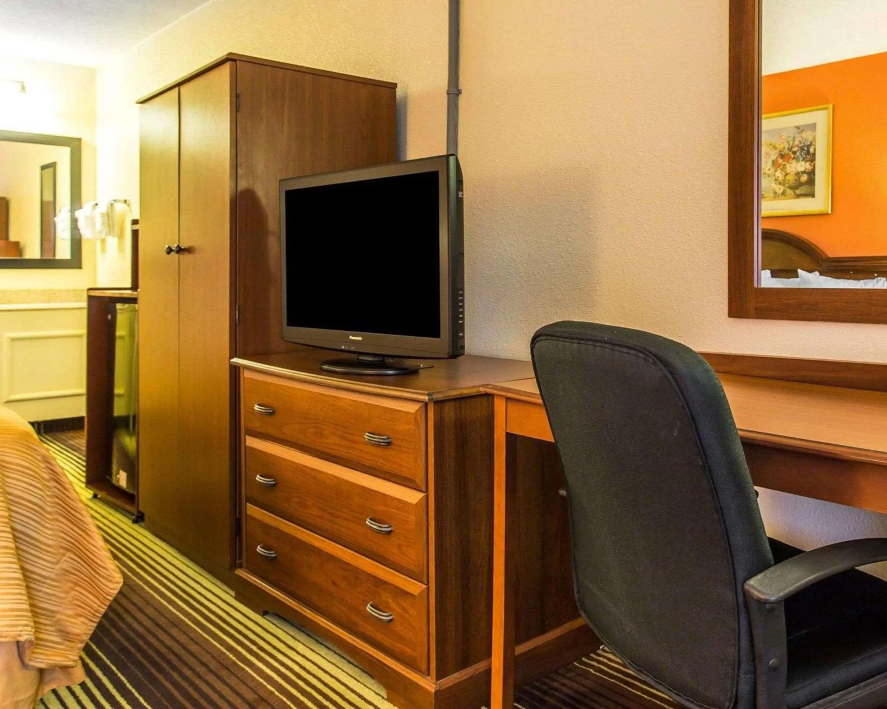 TV and multimedia in Townhouse Winston Salem - University