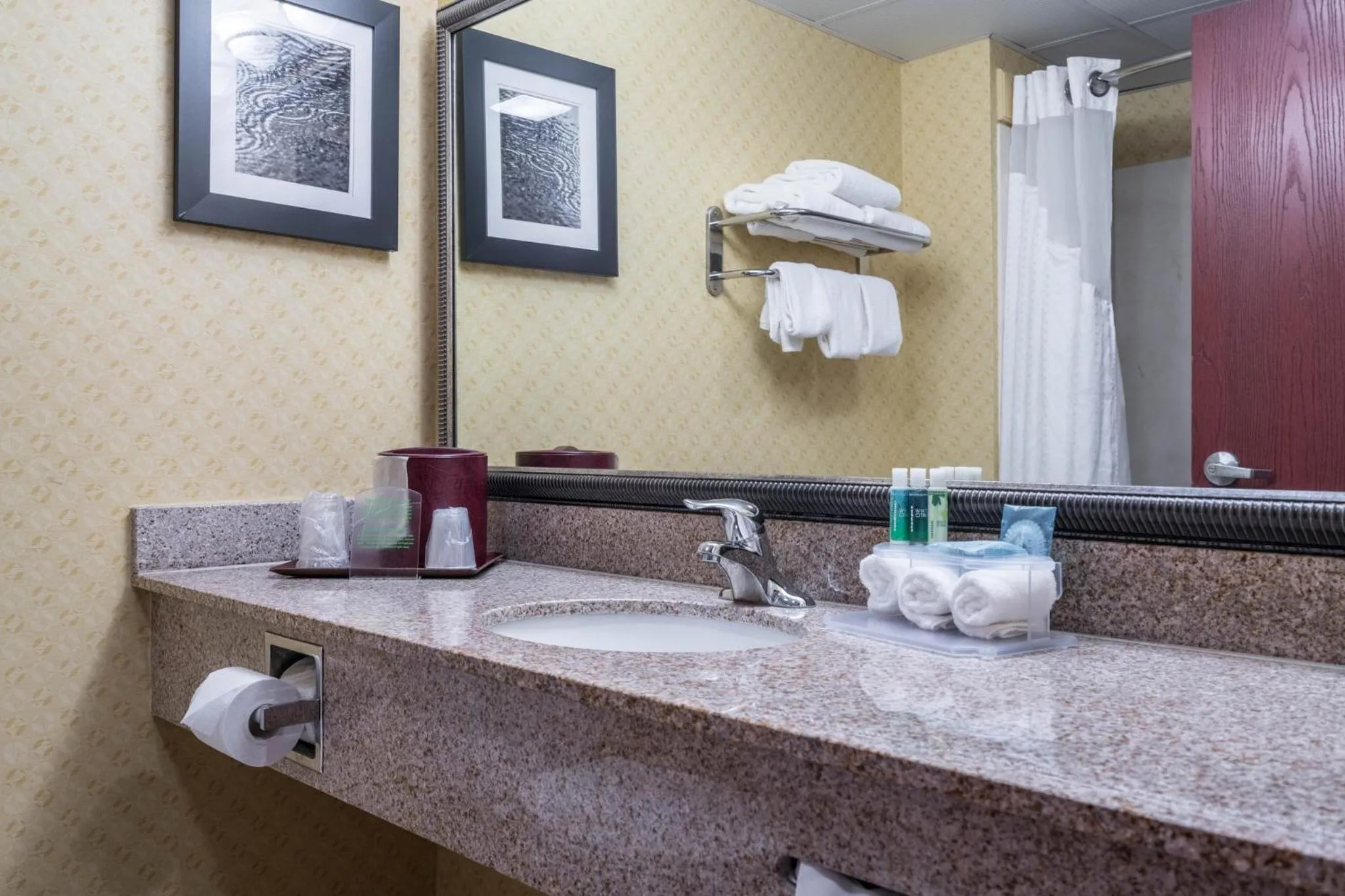 Bathroom in Holiday Inn Express & Suites Roanoke Rapids by IHG