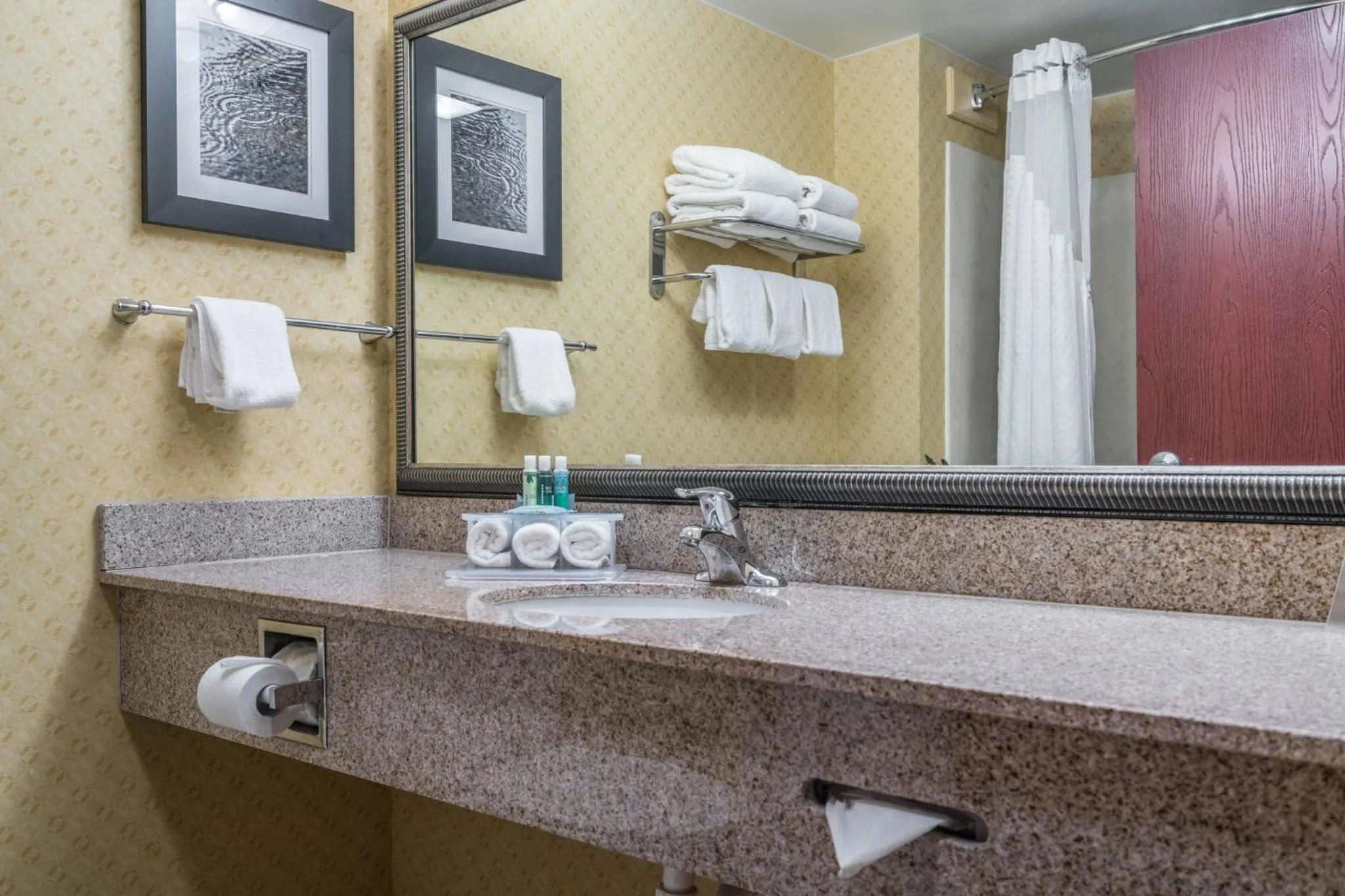 Bathroom in Holiday Inn Express & Suites Roanoke Rapids by IHG