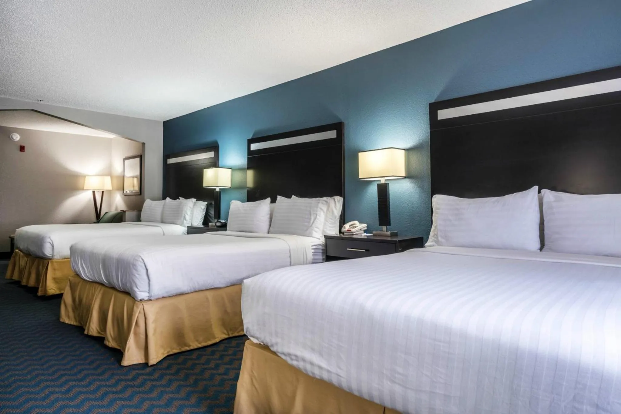 Photo of the whole room, Bed in Holiday Inn Express & Suites Roanoke Rapids by IHG