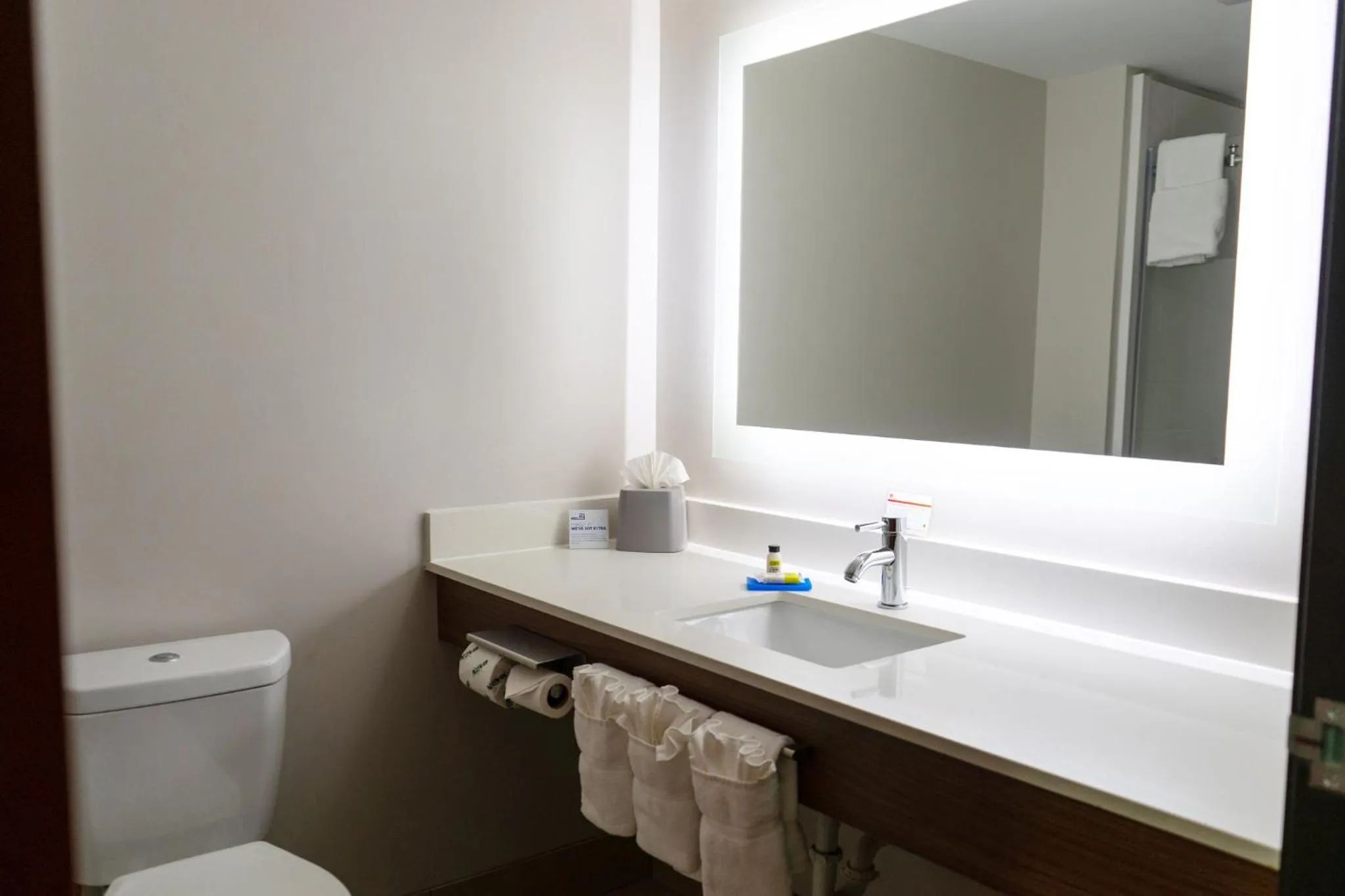 Bathroom in Holiday Inn Express & Suites Roanoke Rapids by IHG