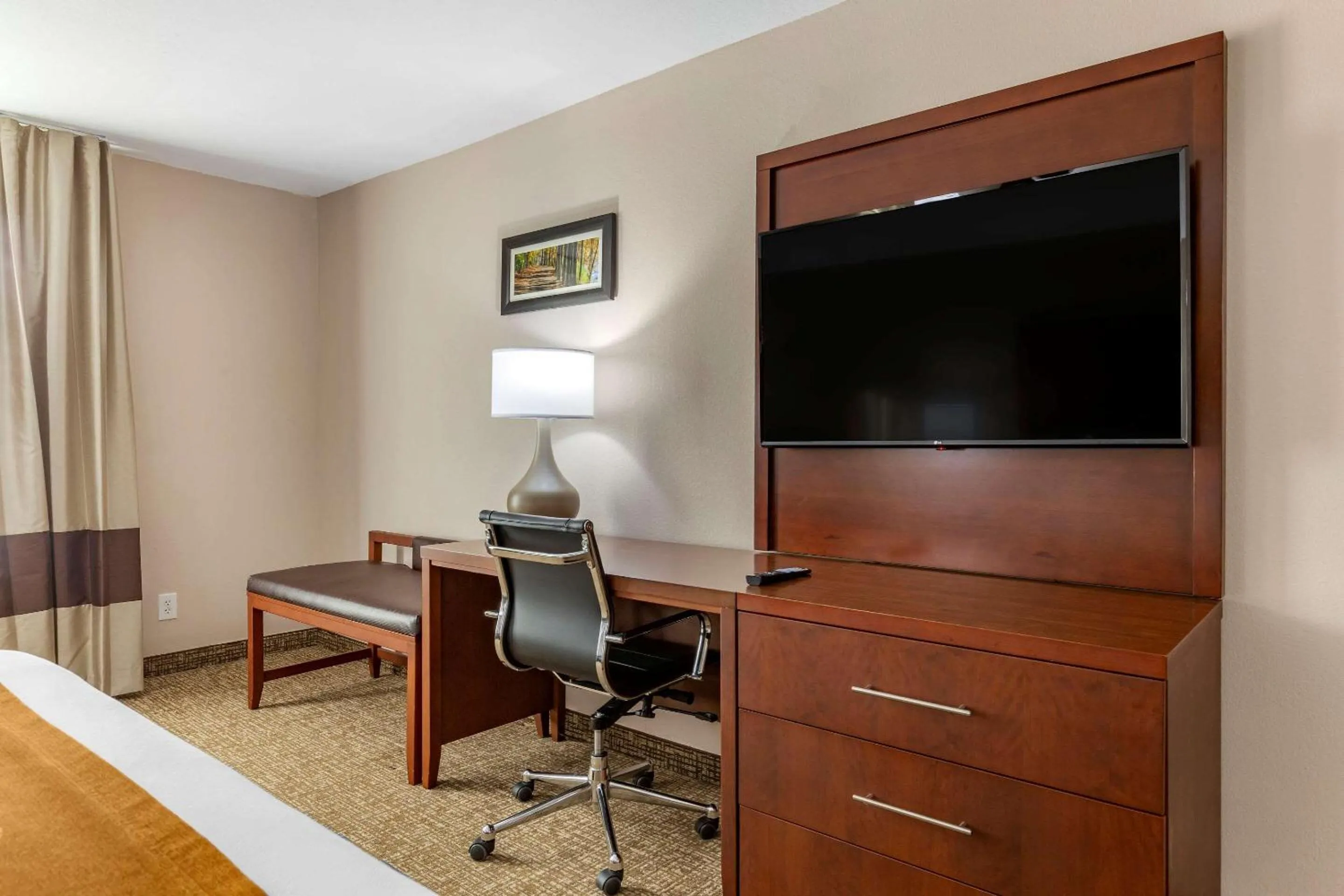 Photo of the whole room in Comfort Inn Smithfield near I-95
