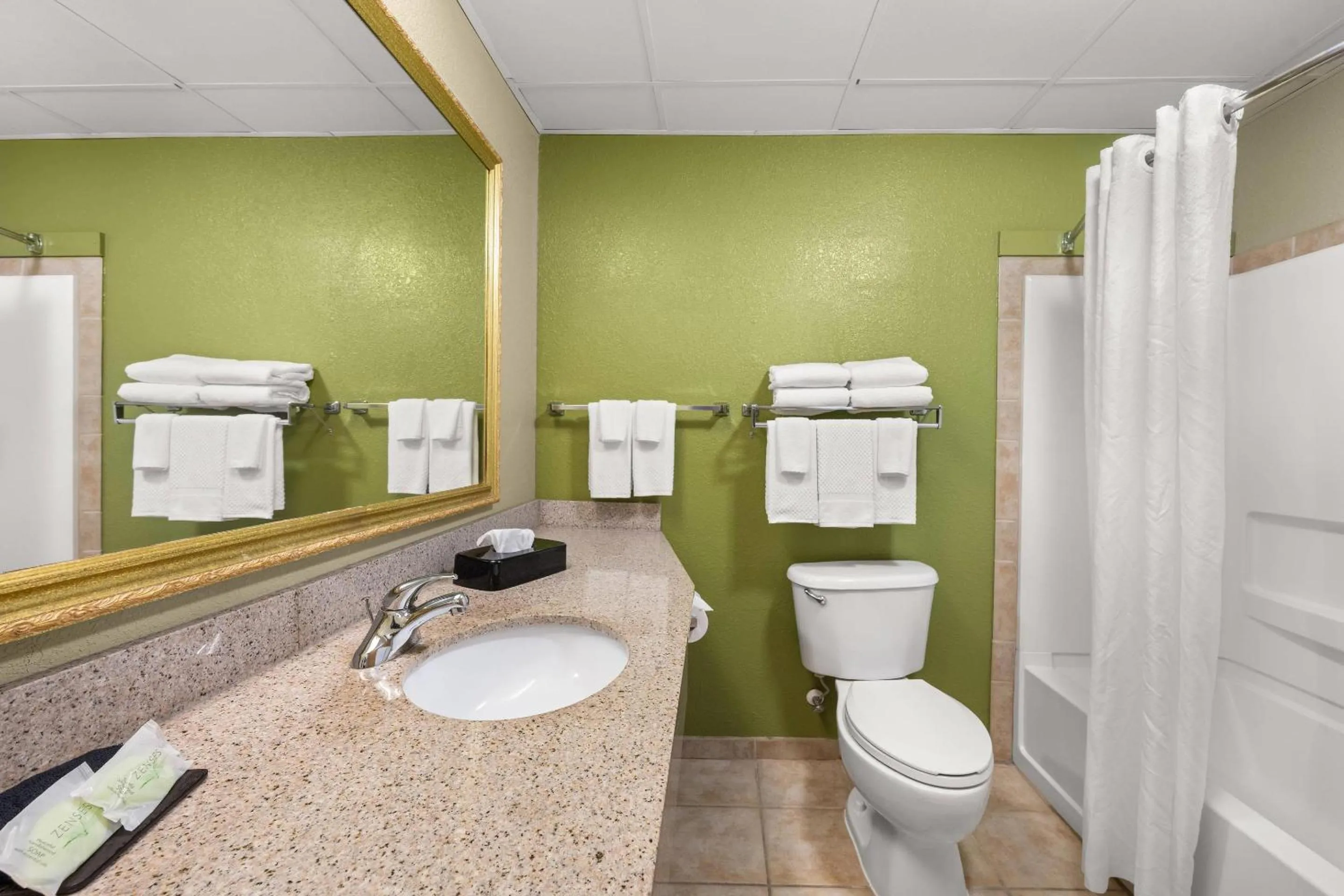 Toilet in Sleep Inn Boone University Area