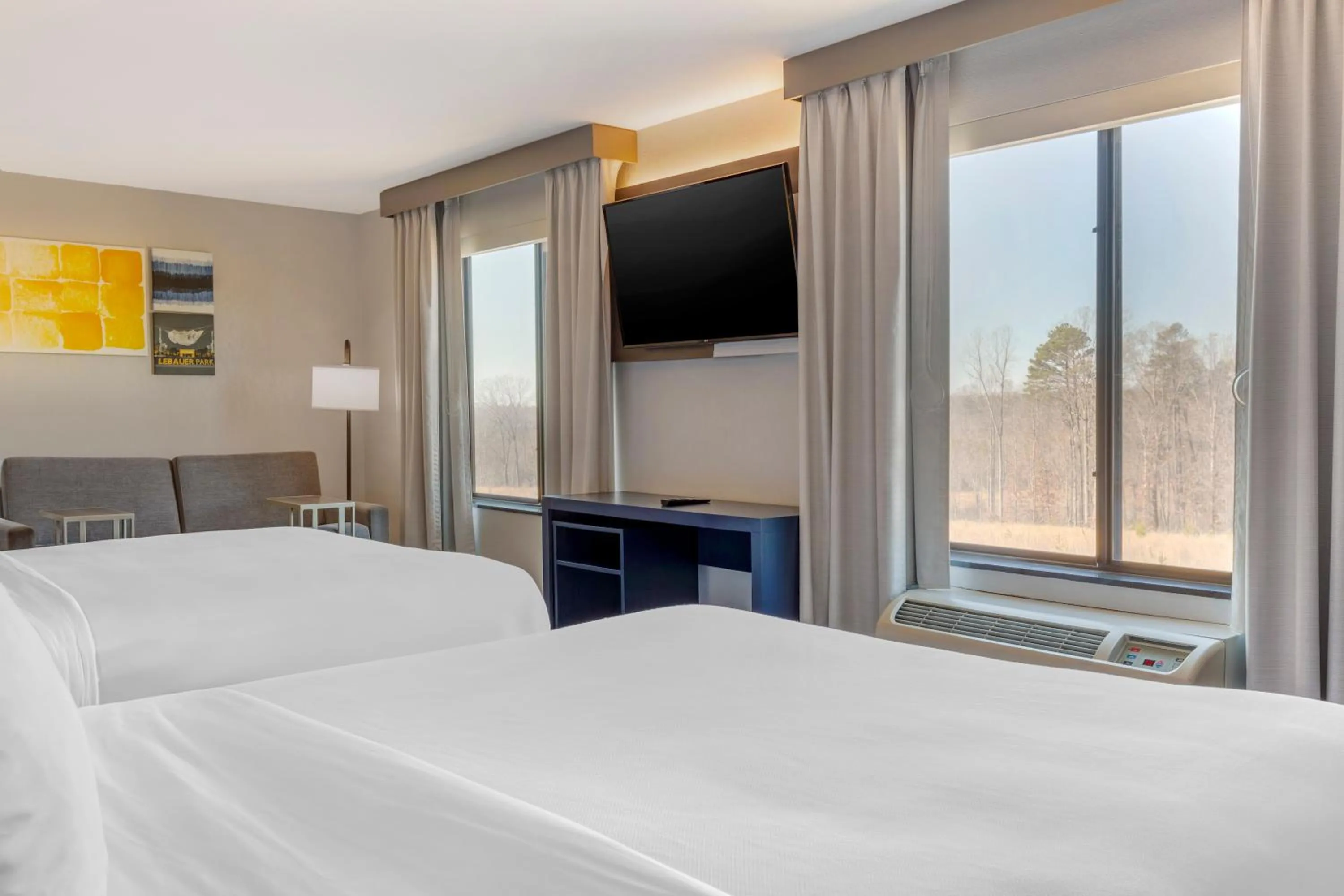 TV and multimedia, Bed in Comfort Suites Whitsett - Greensboro East