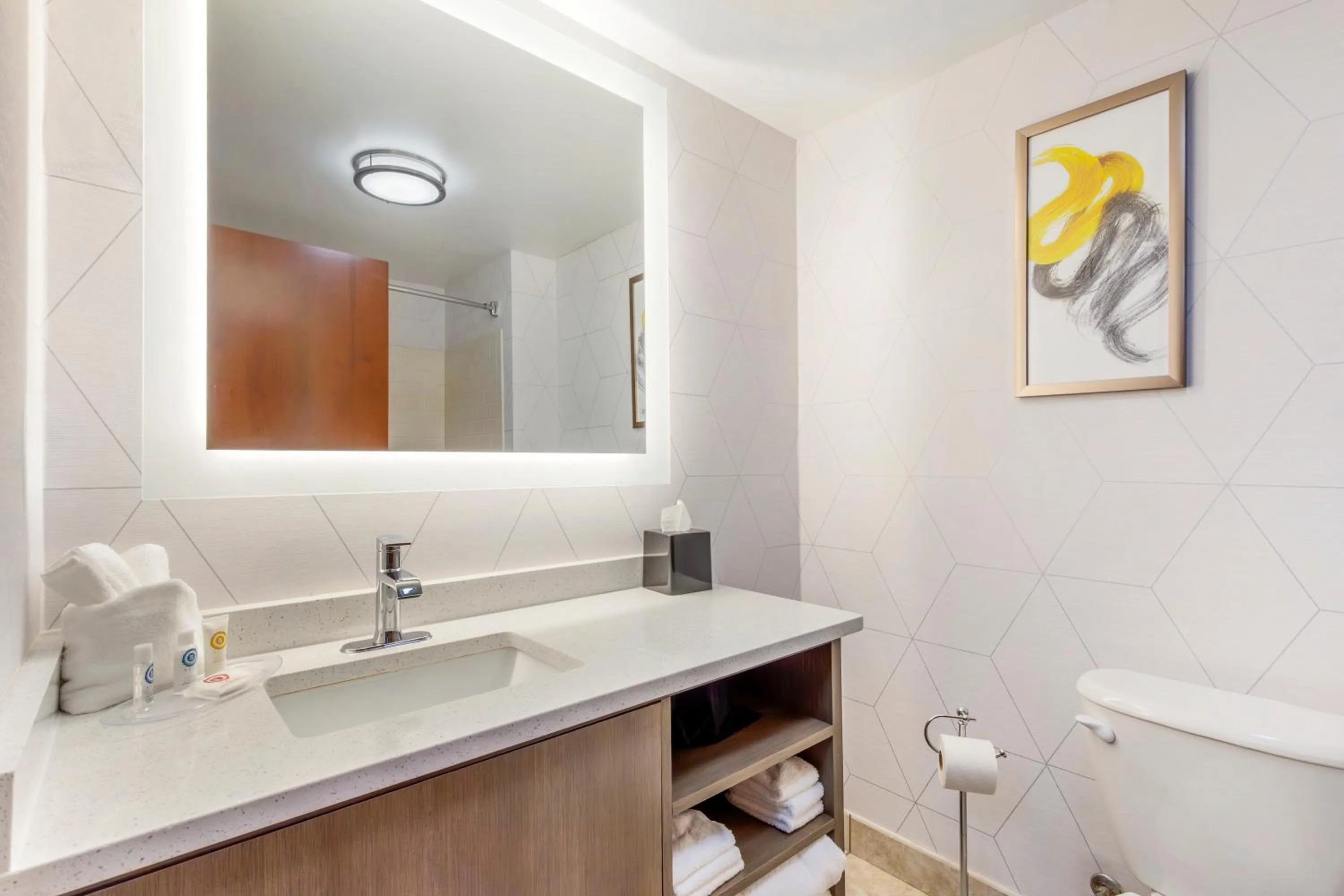 Bathroom in Comfort Suites Whitsett - Greensboro East