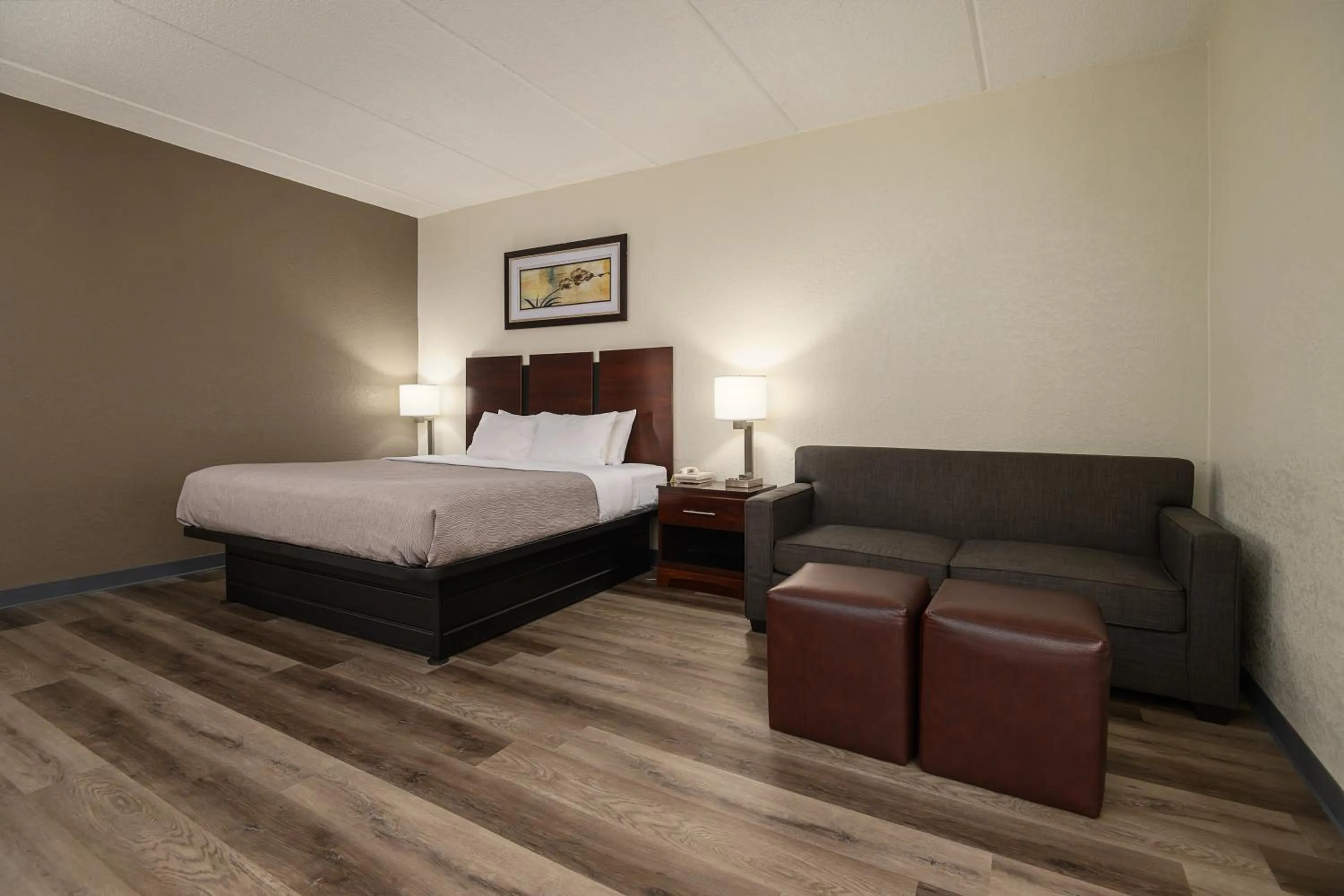 Bedroom, Bed in Quality Inn & Suites Lexington South