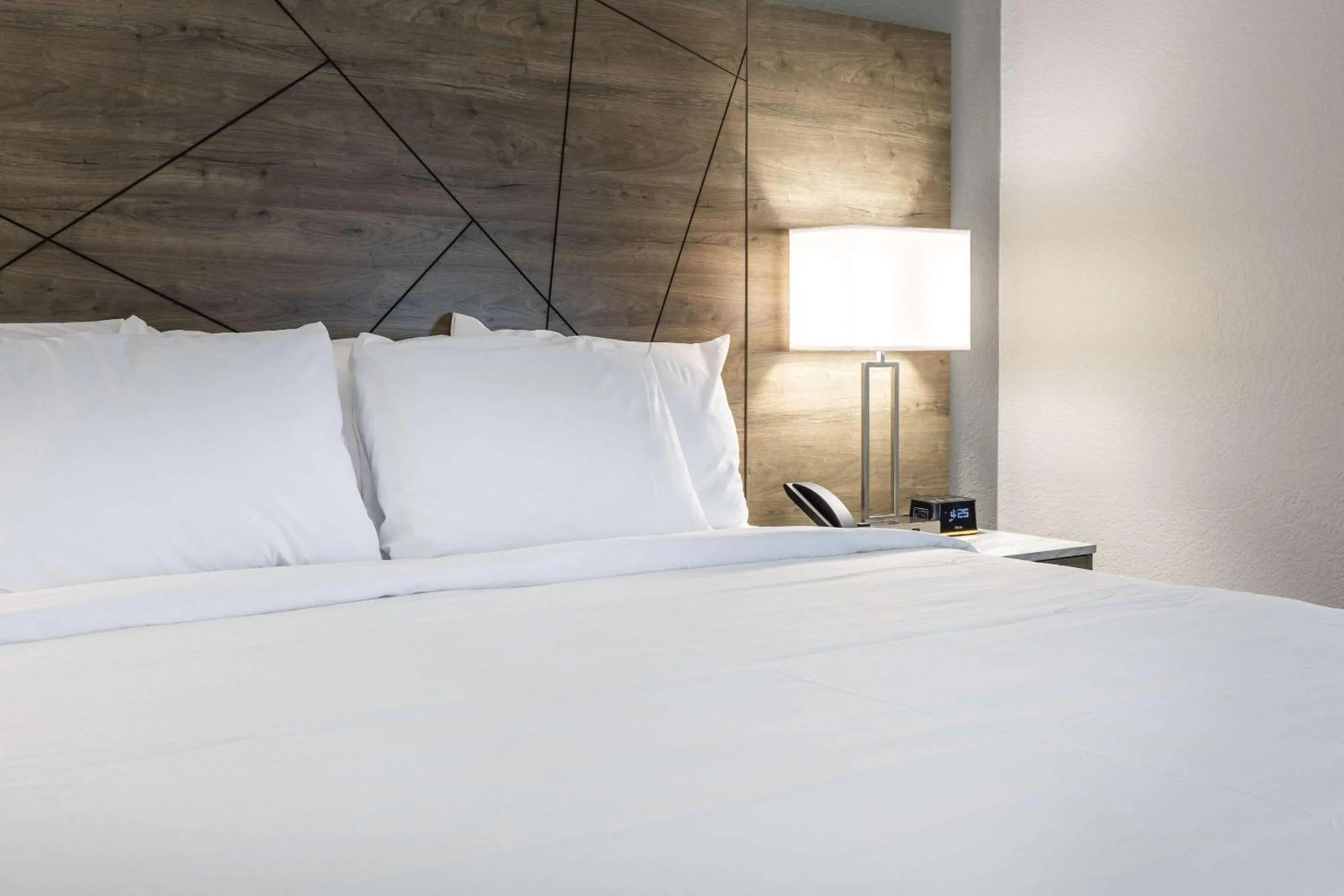 Bedroom, Bed in Rodeway Inn & Suites near Outlet Mall - Asheville