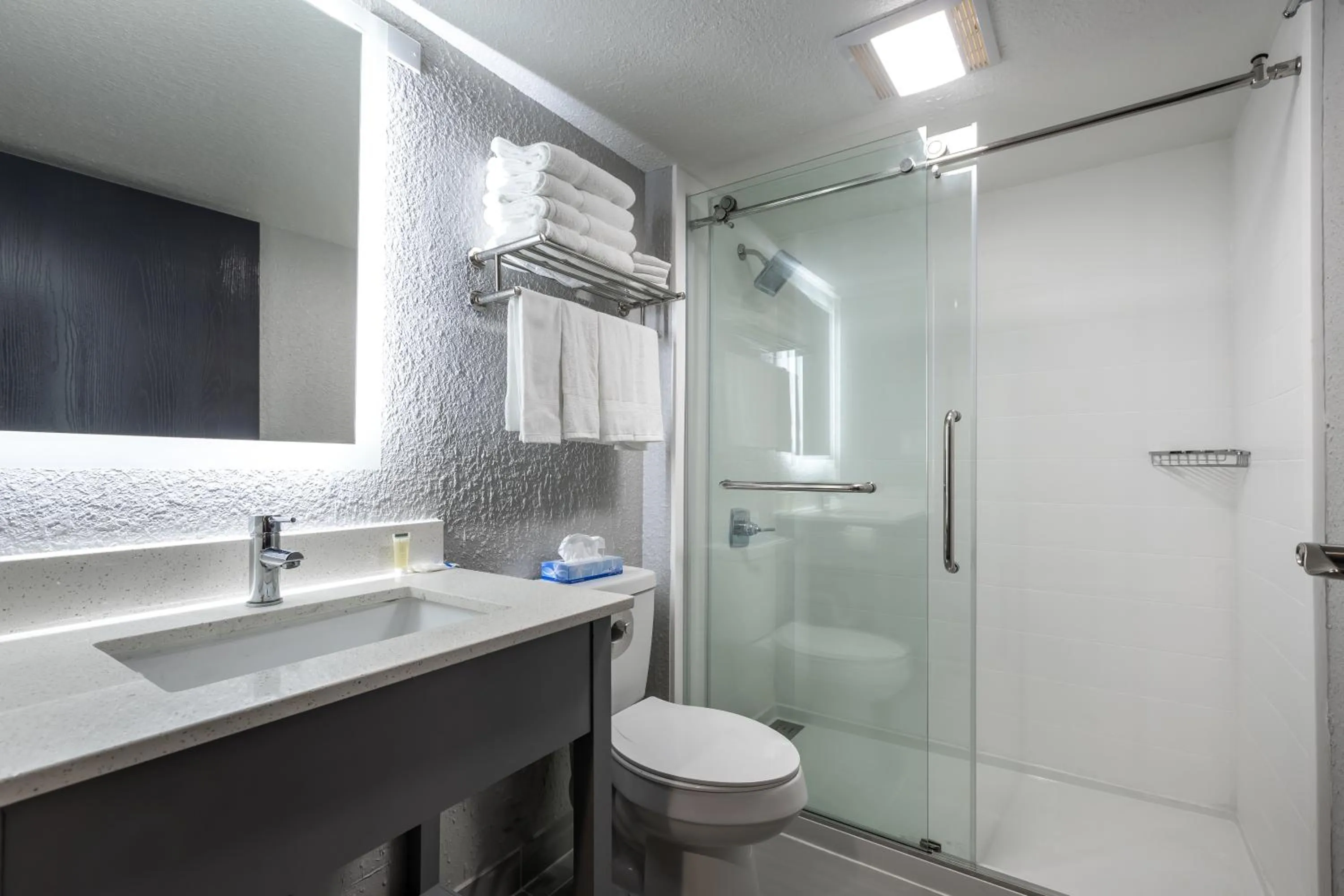 Bathroom in Rodeway Inn & Suites near Outlet Mall - Asheville