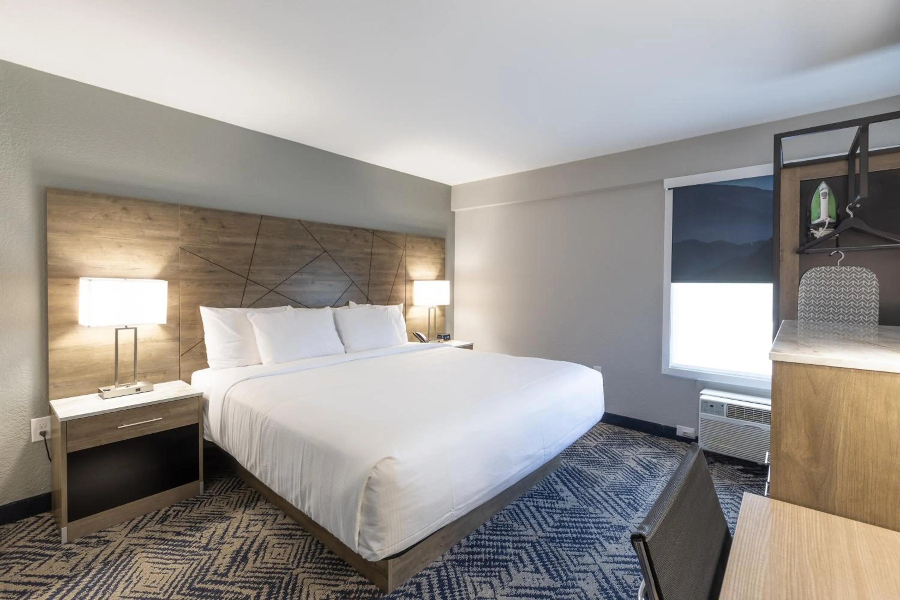 Bedroom, Bed in Rodeway Inn & Suites near Outlet Mall - Asheville