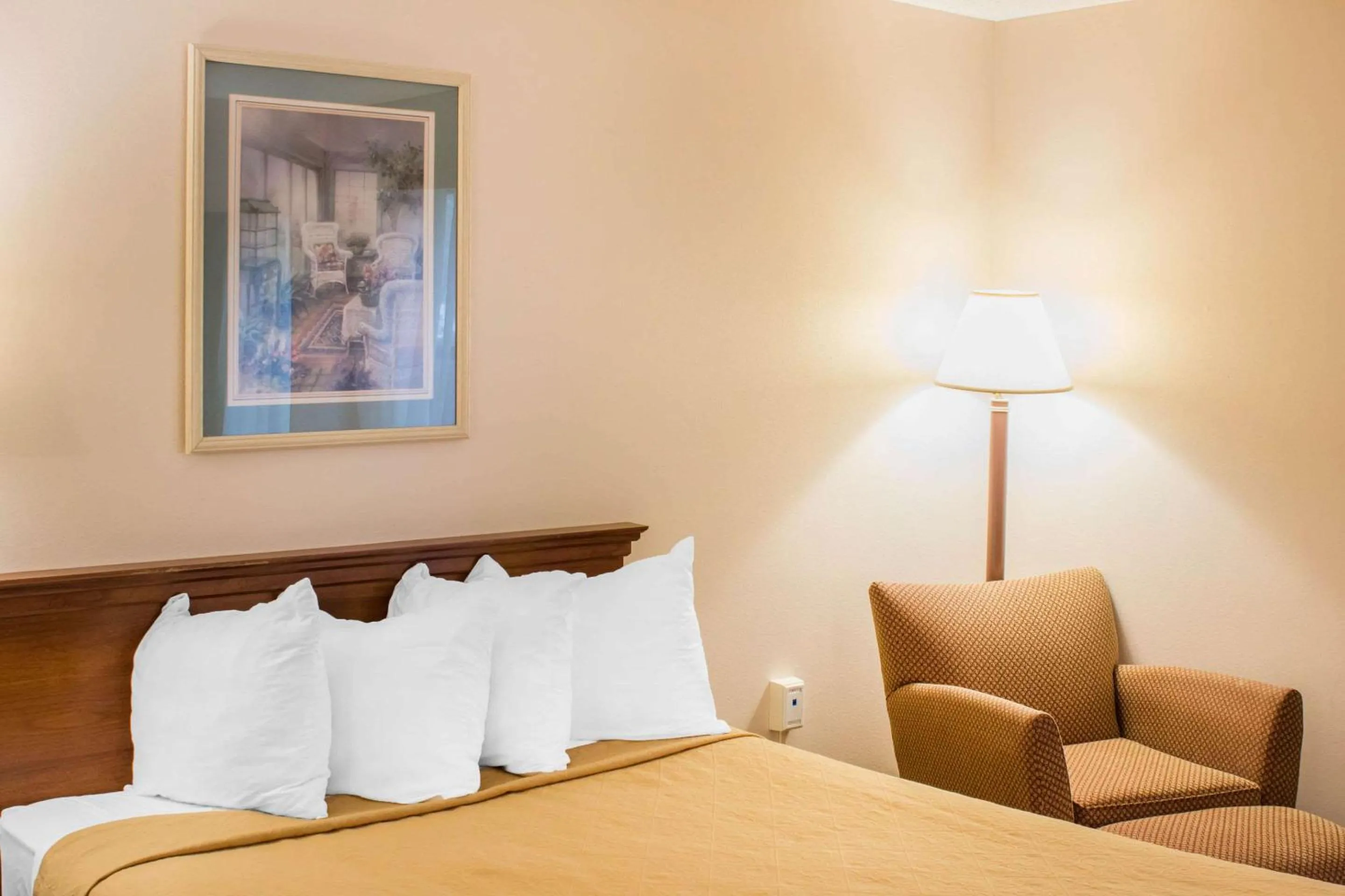 Bedroom, Bed in Econo Lodge Raleigh near Walnut Creek Amphitheatre