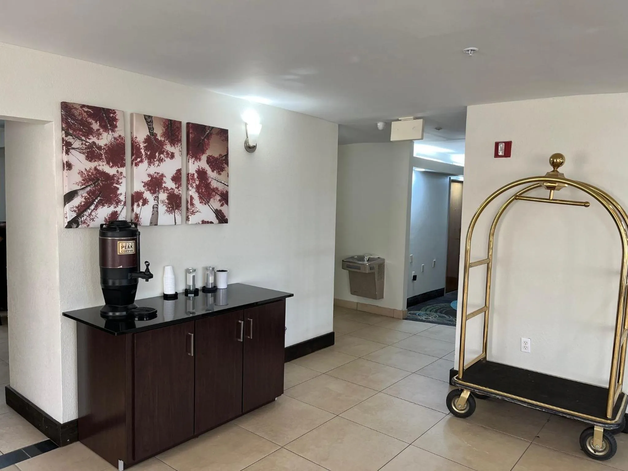 Lobby or reception in Red Roof Inn Washington, NC