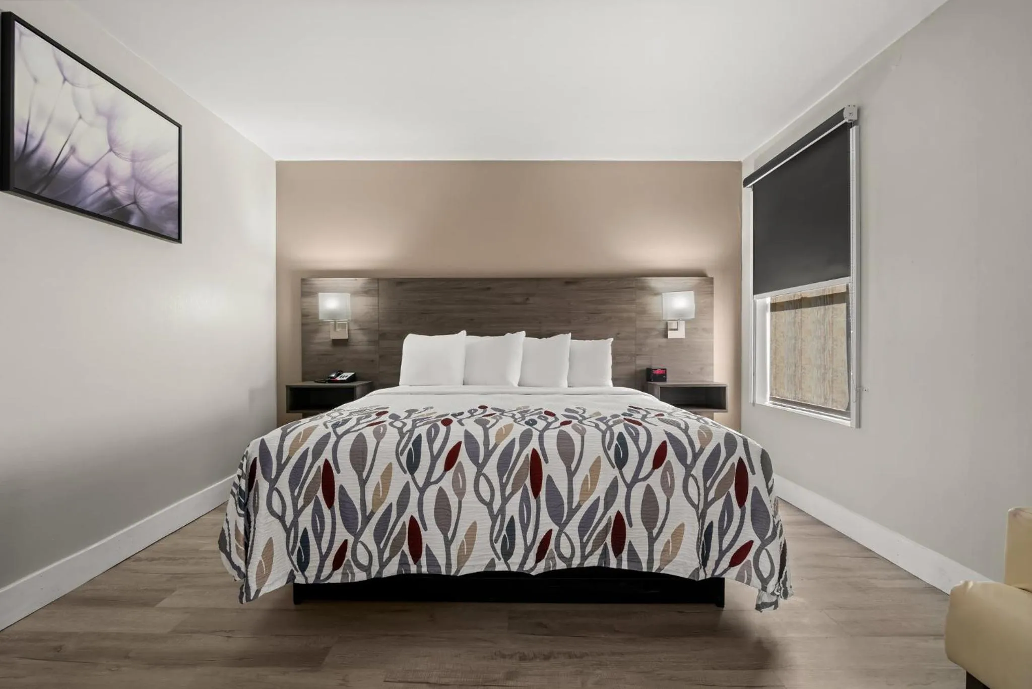 Bedroom, Bed in Red Roof Inn Washington, NC