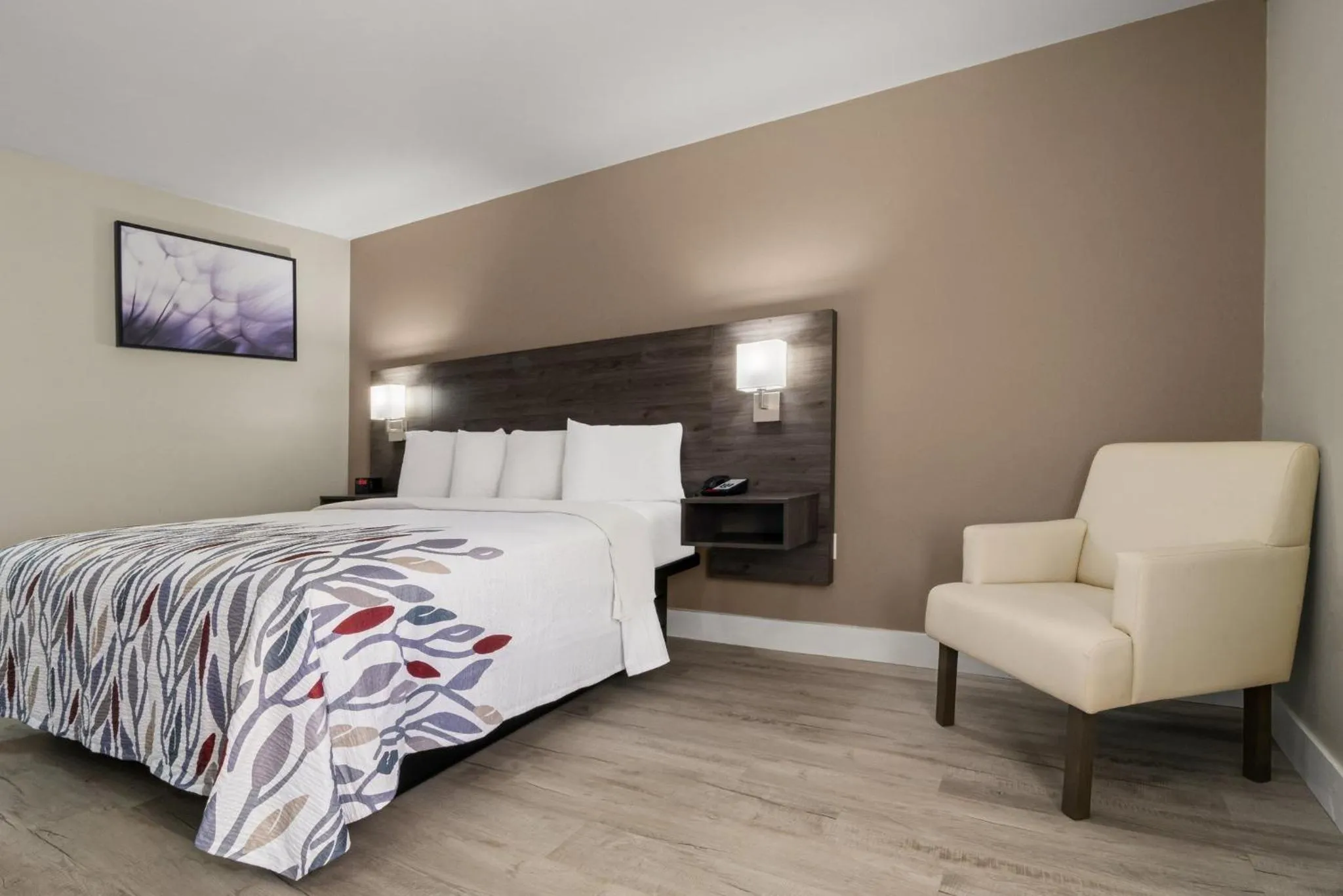 Photo of the whole room, Bed in Red Roof Inn Washington, NC