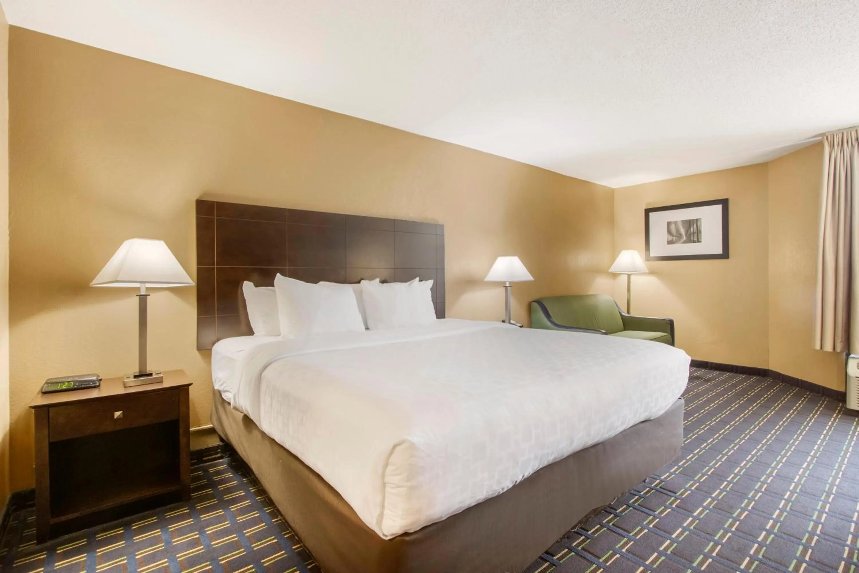 King Room with Roll-In Shower - Accessible/Non-Smoking in Clarion Inn Asheville Airport