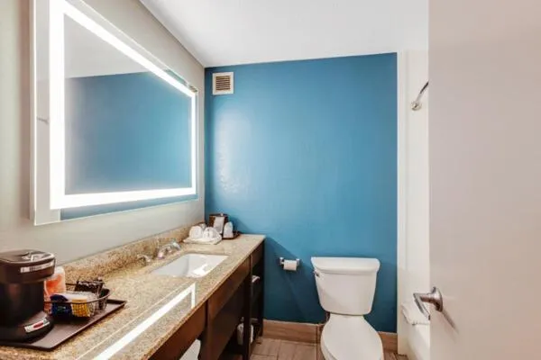 Toilet in Clarion Inn Asheville Airport