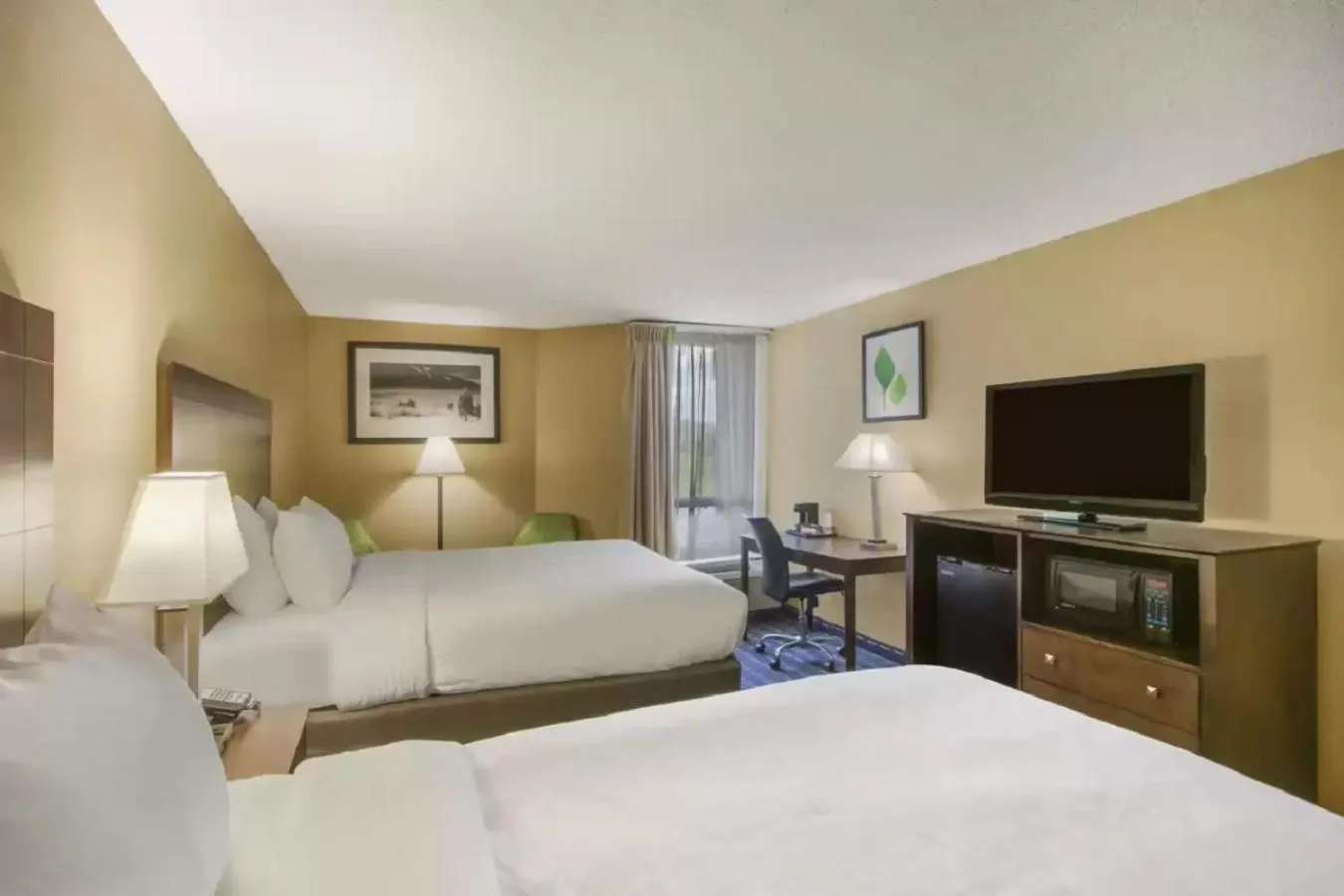 Photo of the whole room, Bed in Clarion Inn Asheville Airport