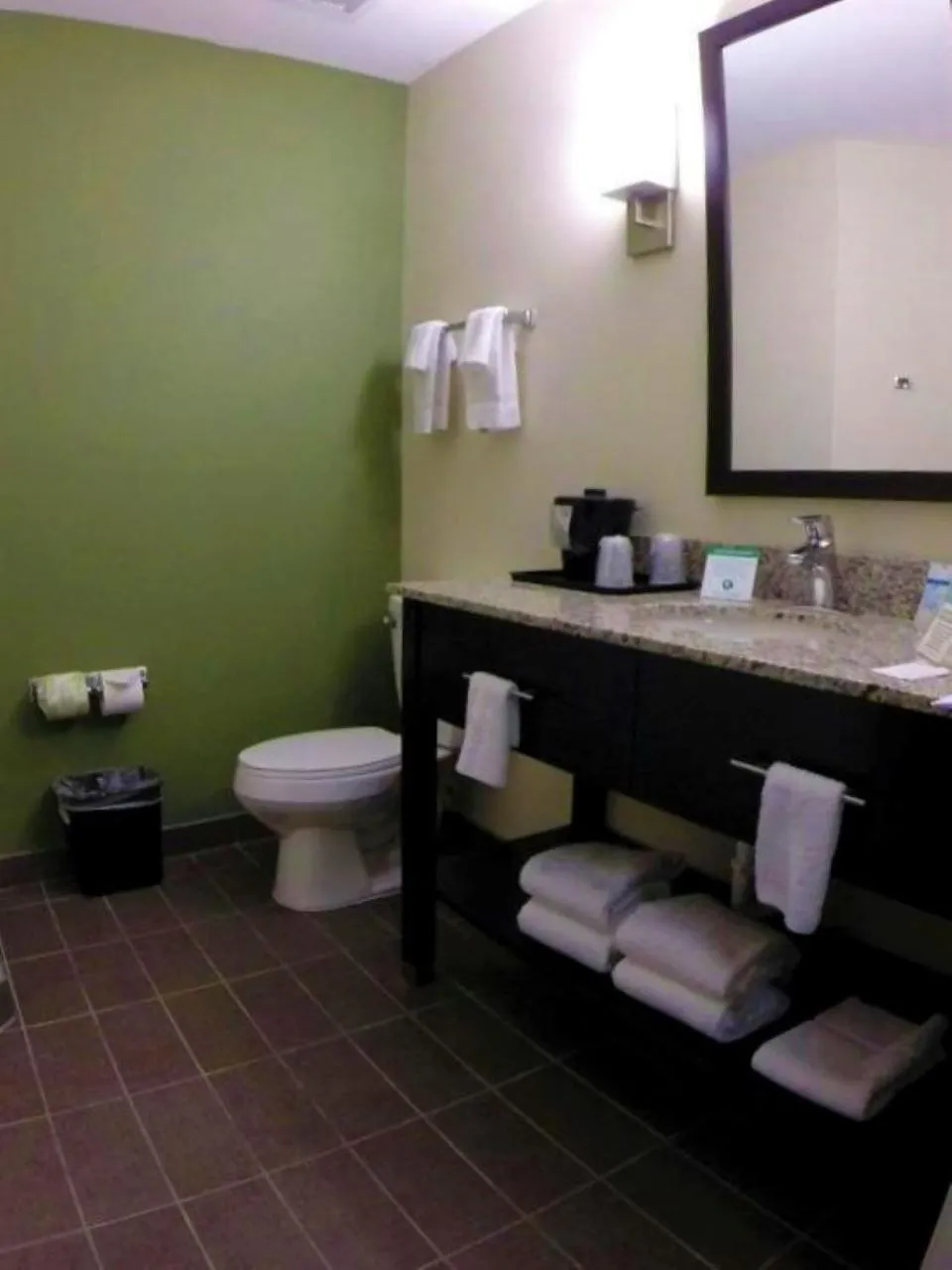 Bathroom in Sleep Inn & Suites Mount Olive North