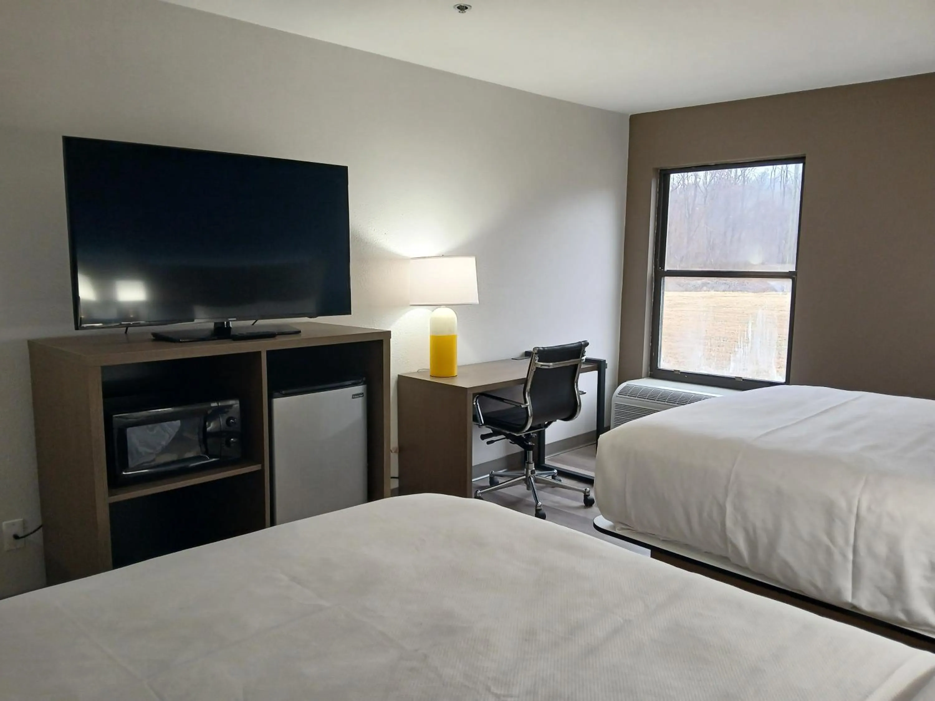 TV and multimedia, Bed in Comfort Inn near Downtown & Blue Ridge PKWY