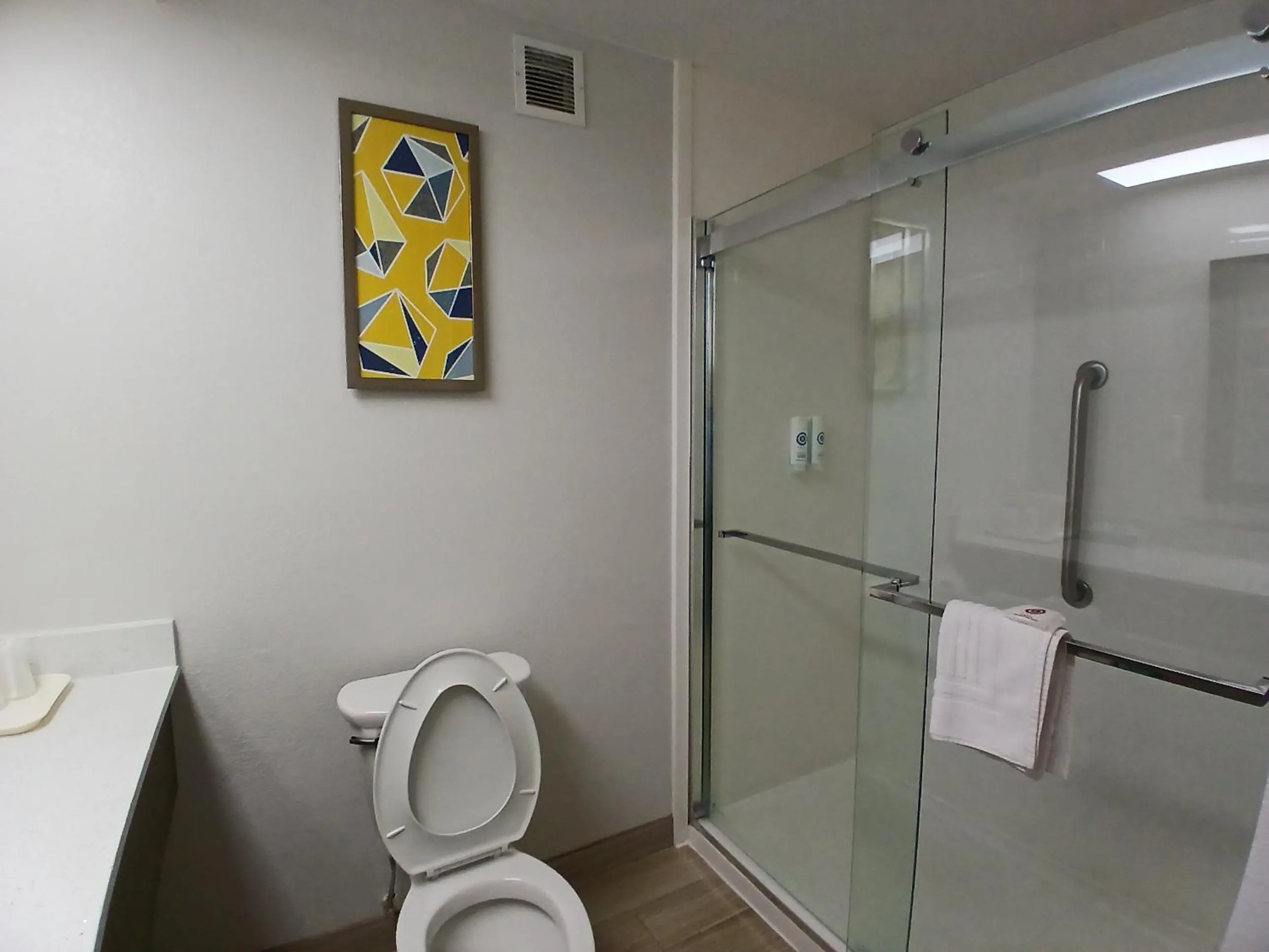 Shower in Comfort Inn near Downtown & Blue Ridge PKWY