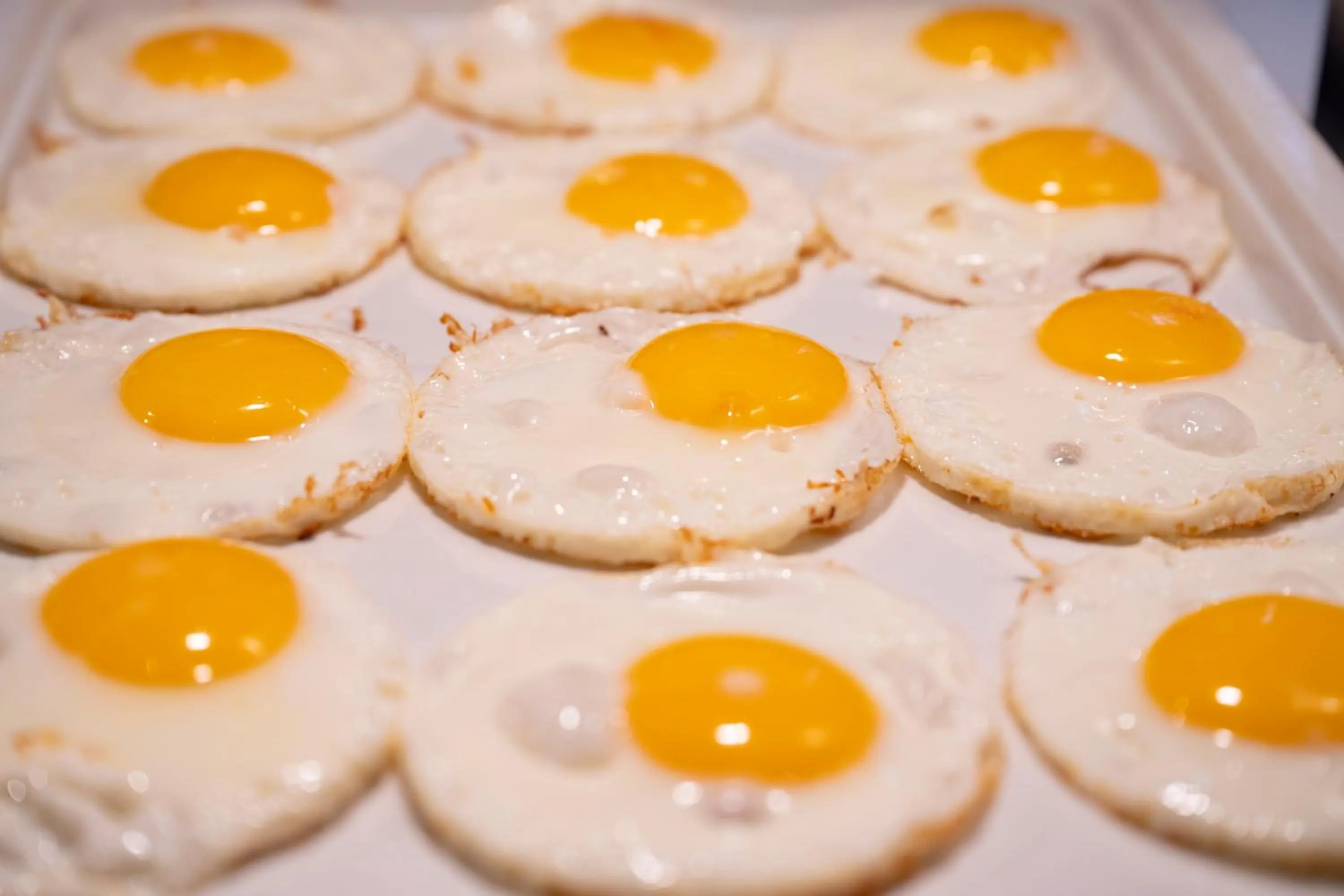 Food and drinks in Baia di Conte Resort