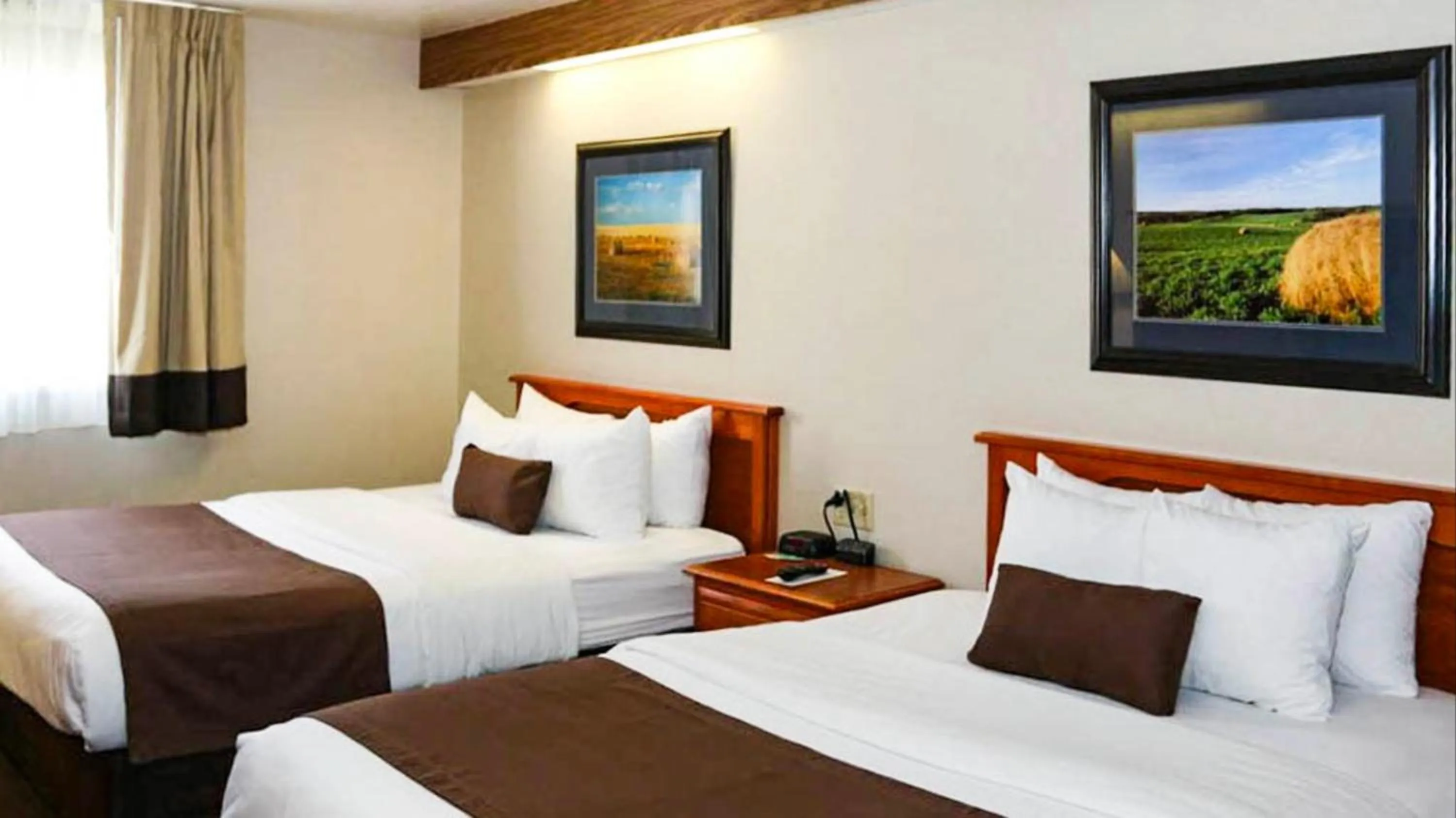 Bedroom, Bed in Motel 6 Minot, ND