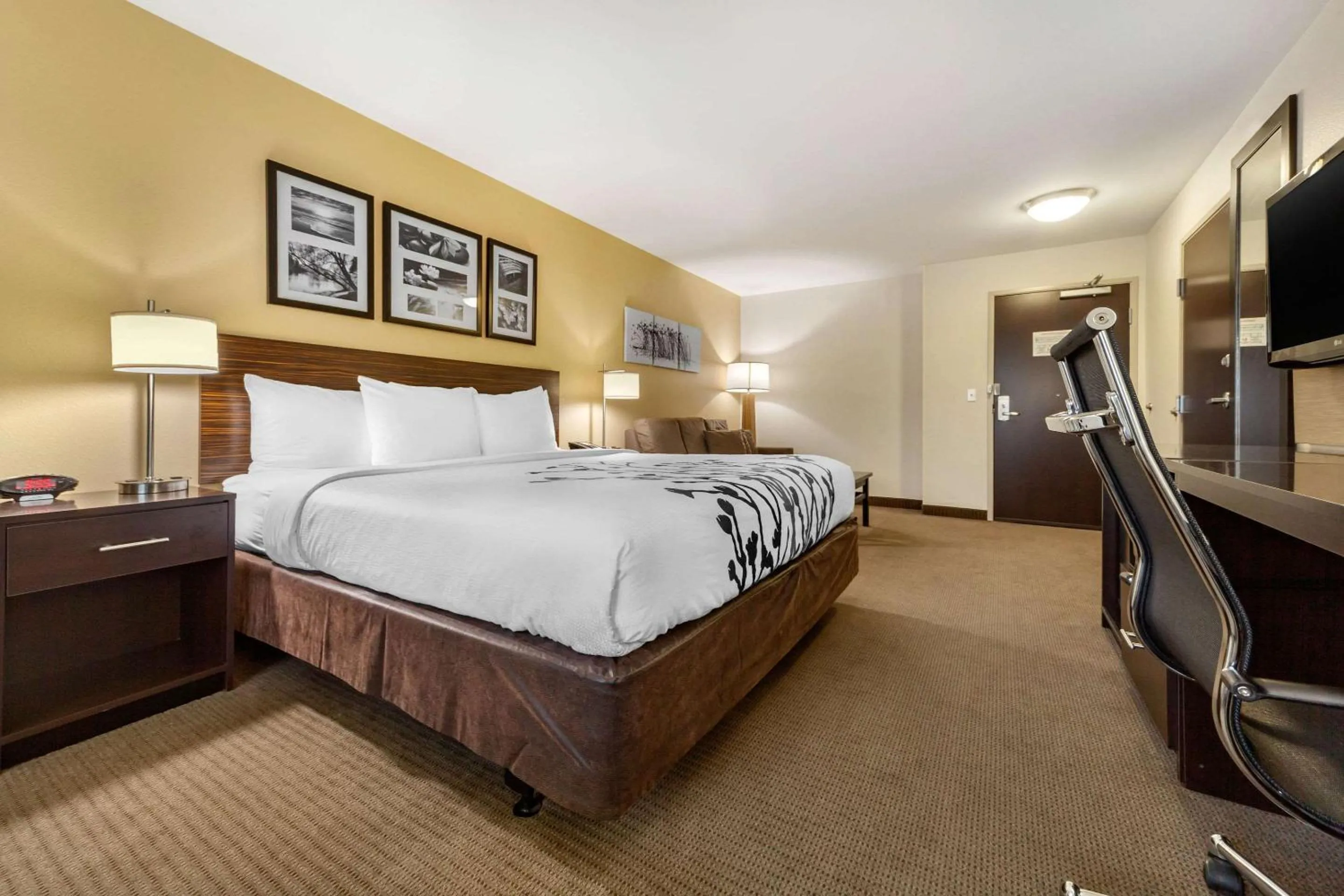 Bedroom, Bed in Sleep Inn & Suites Grand Forks Near Alerus Center