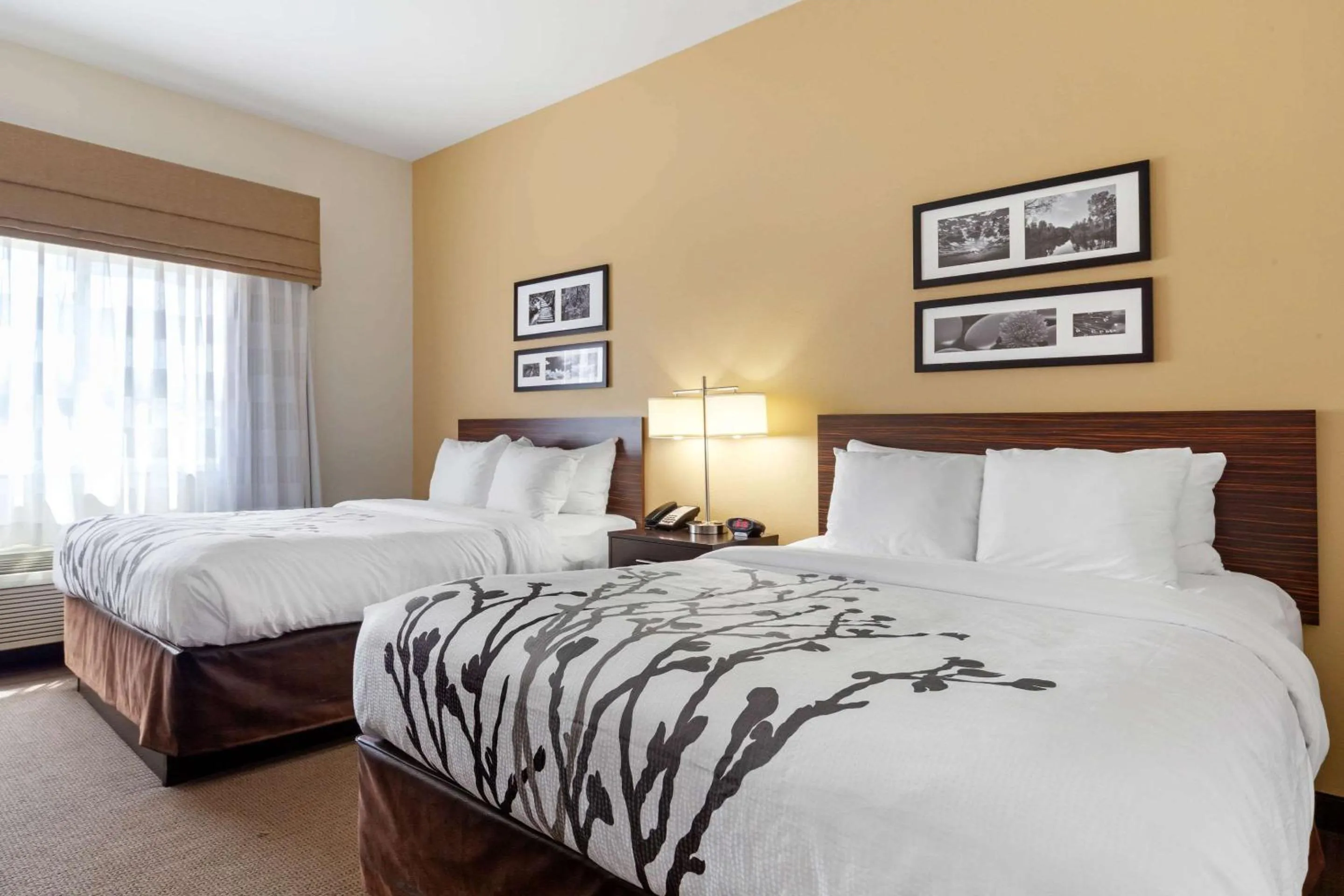 Bedroom, Bed in Sleep Inn & Suites Bismarck I-94