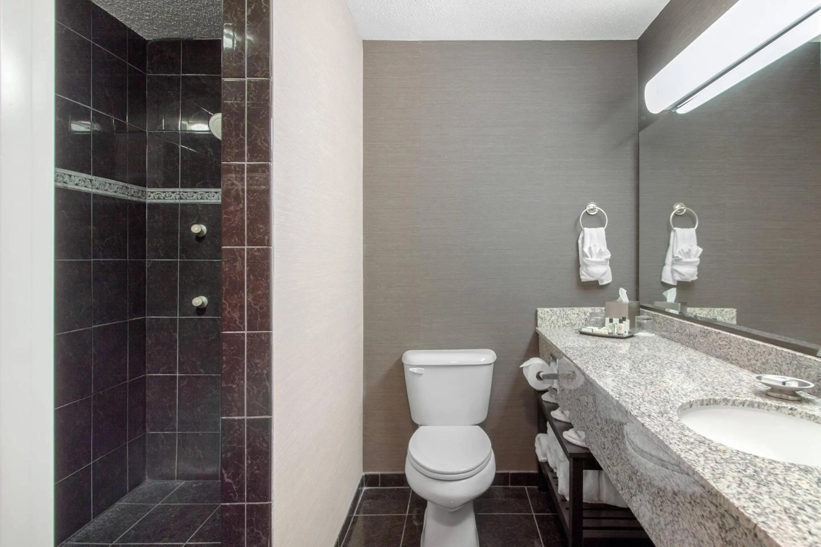 Bedroom in Norfolk Lodge & Suites, an Ascend Collection Hotel