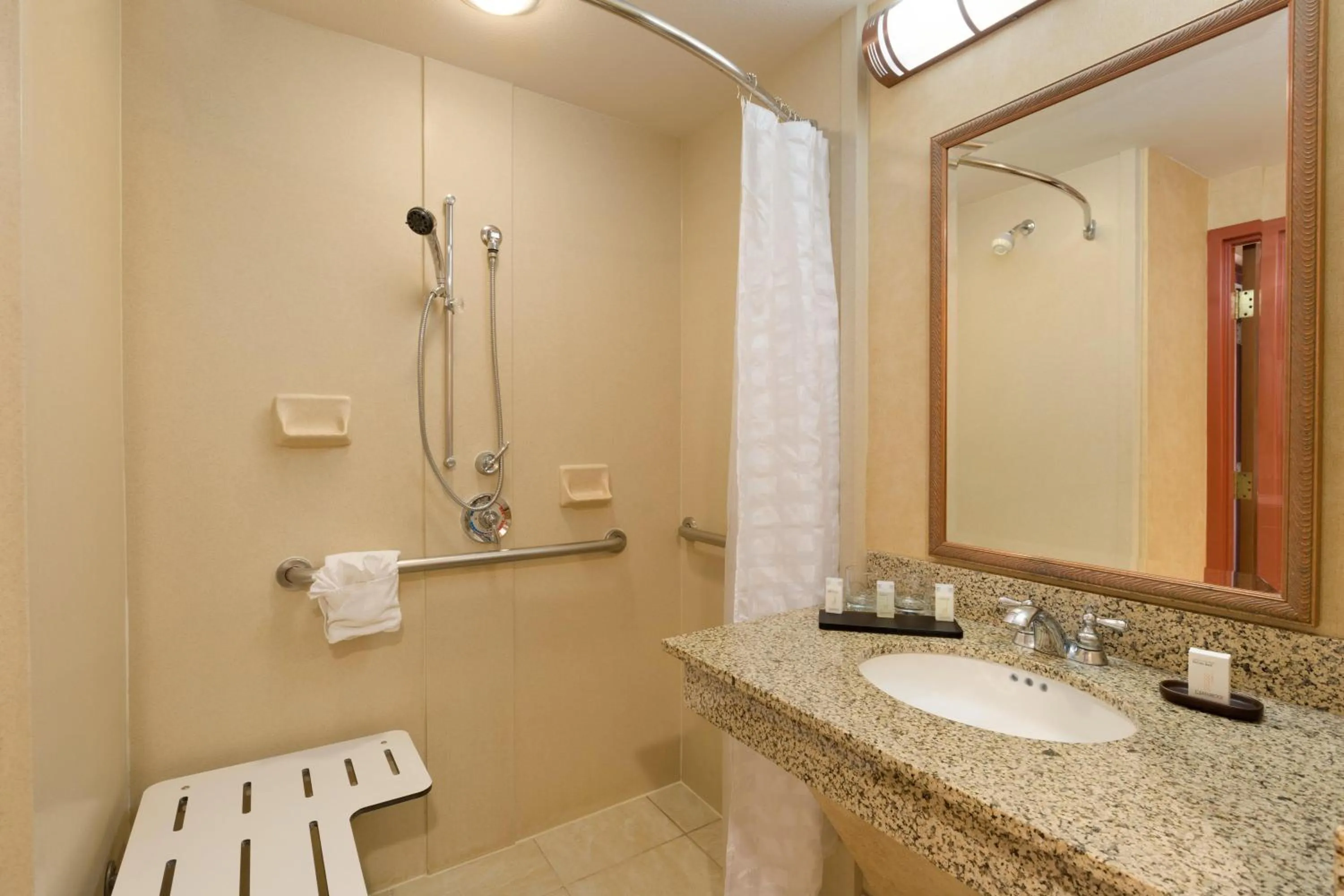 Bathroom in Embassy Suites by Hilton Dallas Frisco Hotel & Convention Center