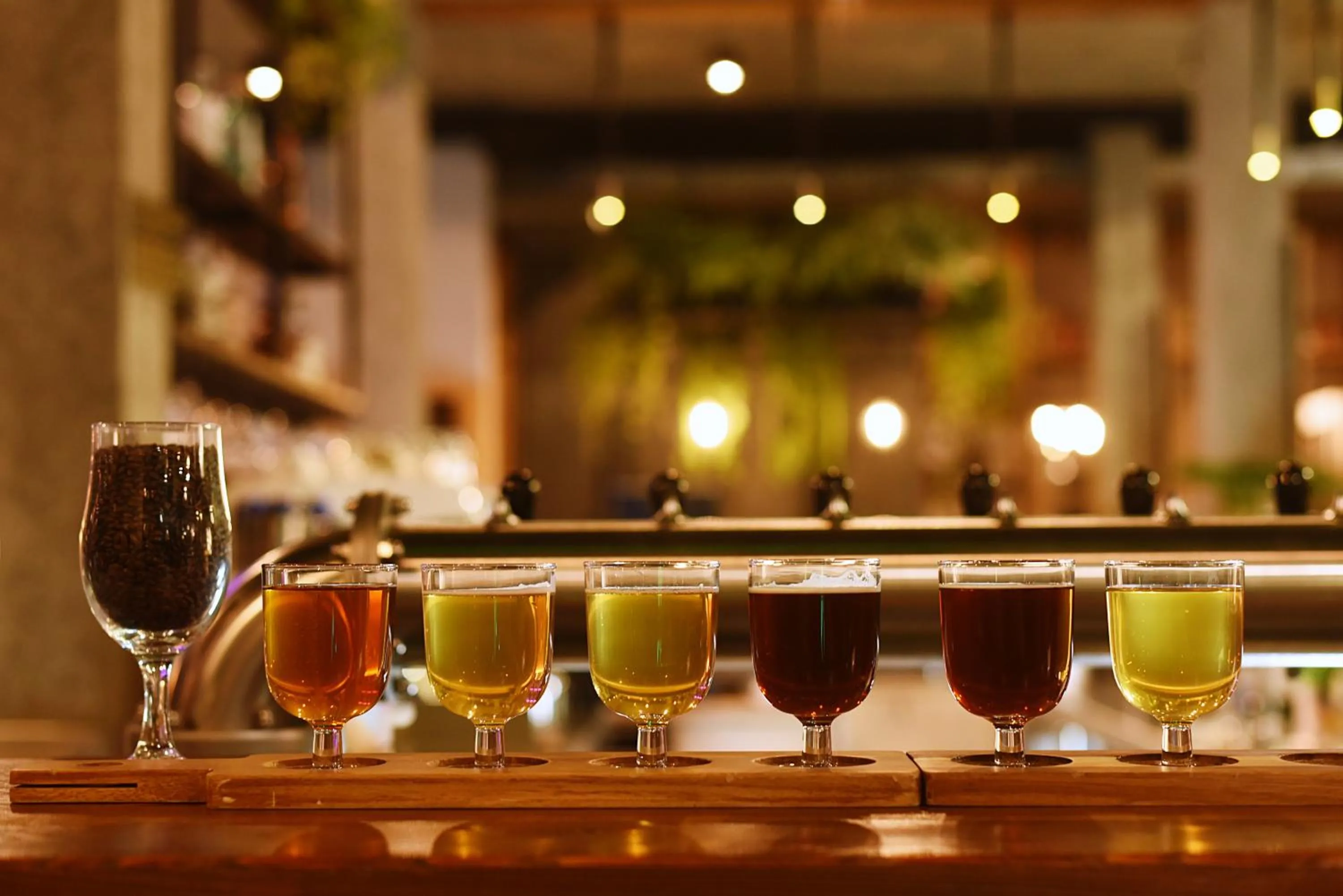 Alcoholic drinks in FOLGA - Hotel, Restauracja, Browar, SPA