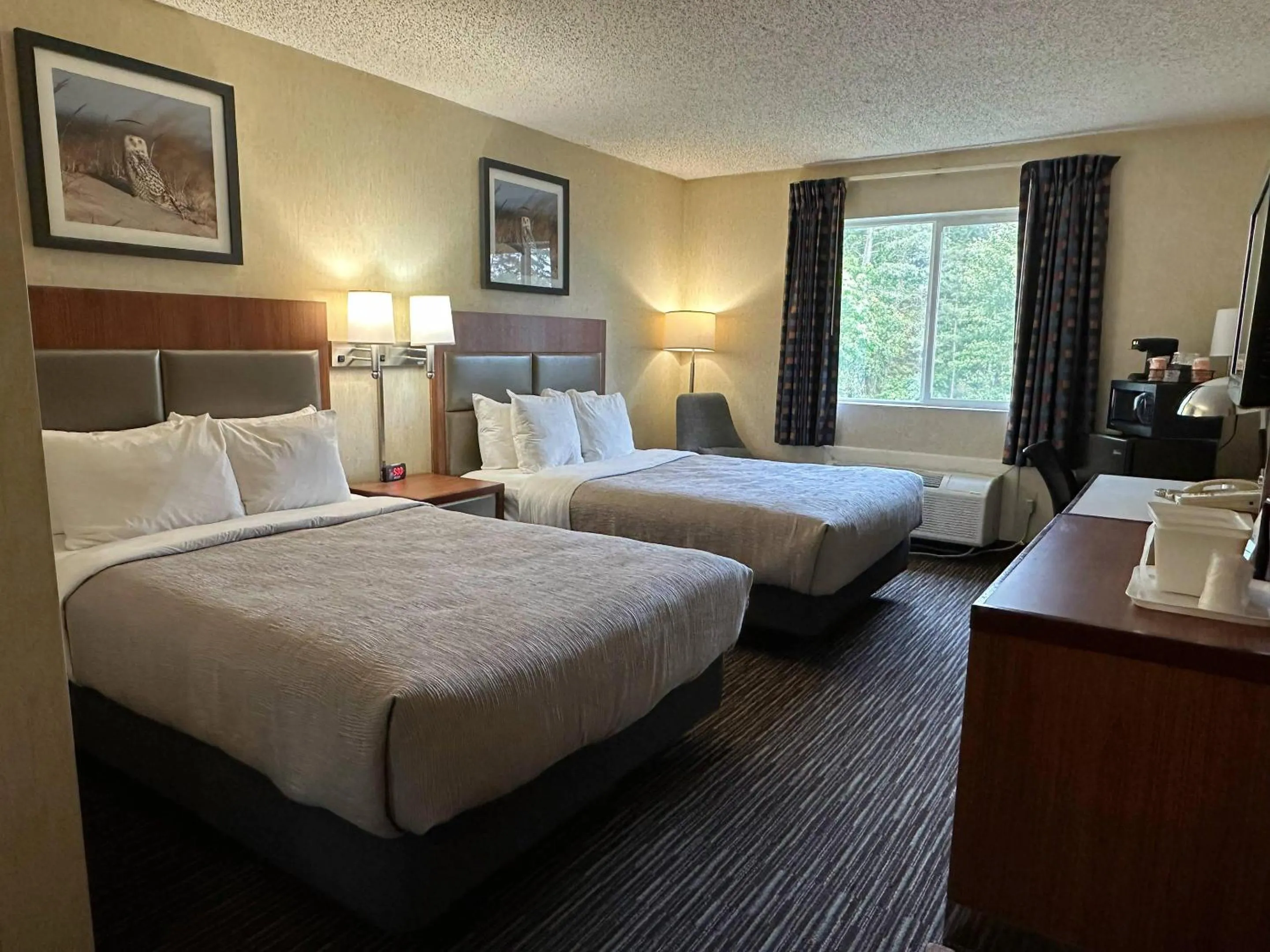 Bedroom, Bed in Quality Inn near Toms River Corporate Park