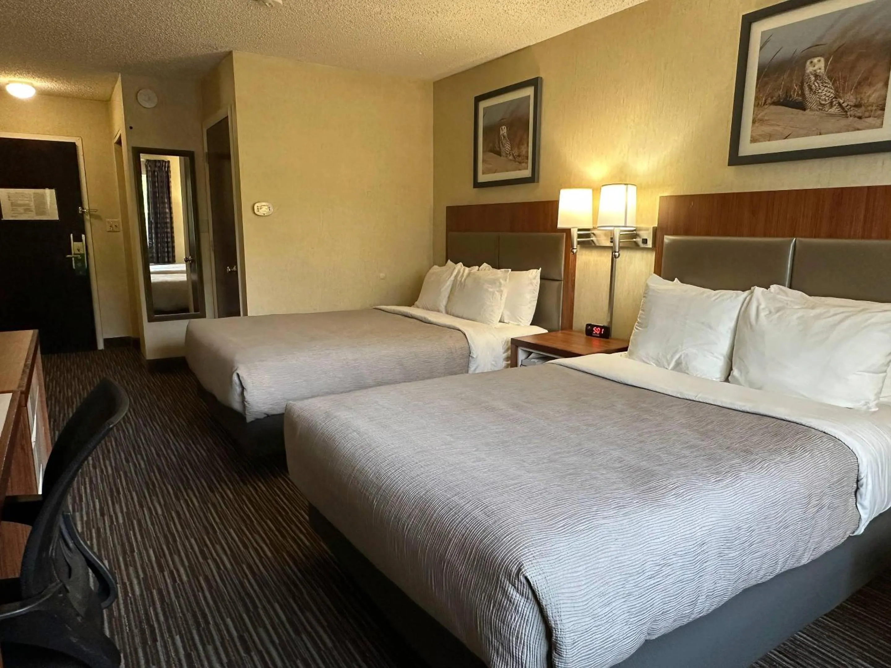 Bedroom, Bed in Quality Inn near Toms River Corporate Park