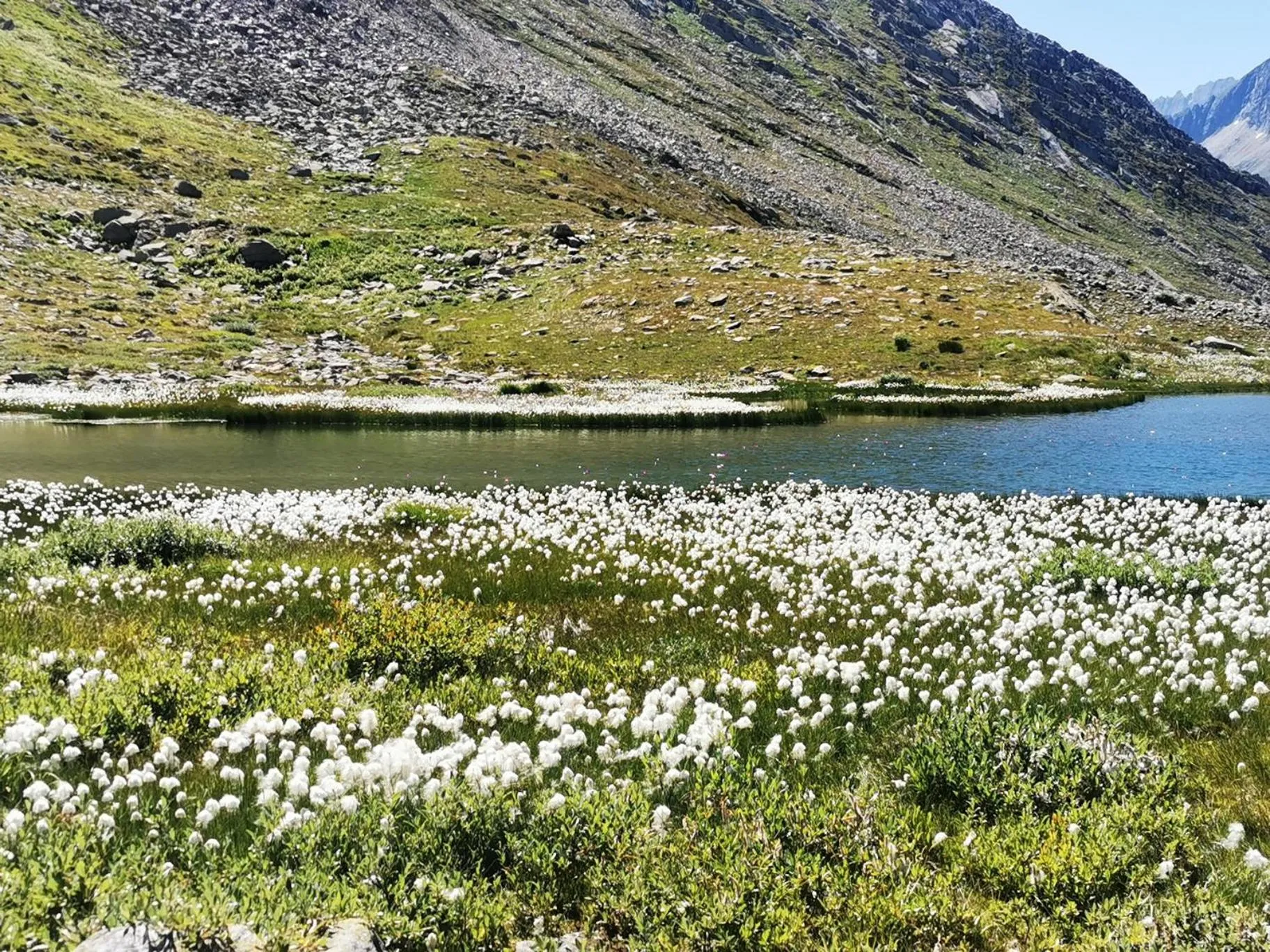Natural landscape in Hotel Derby