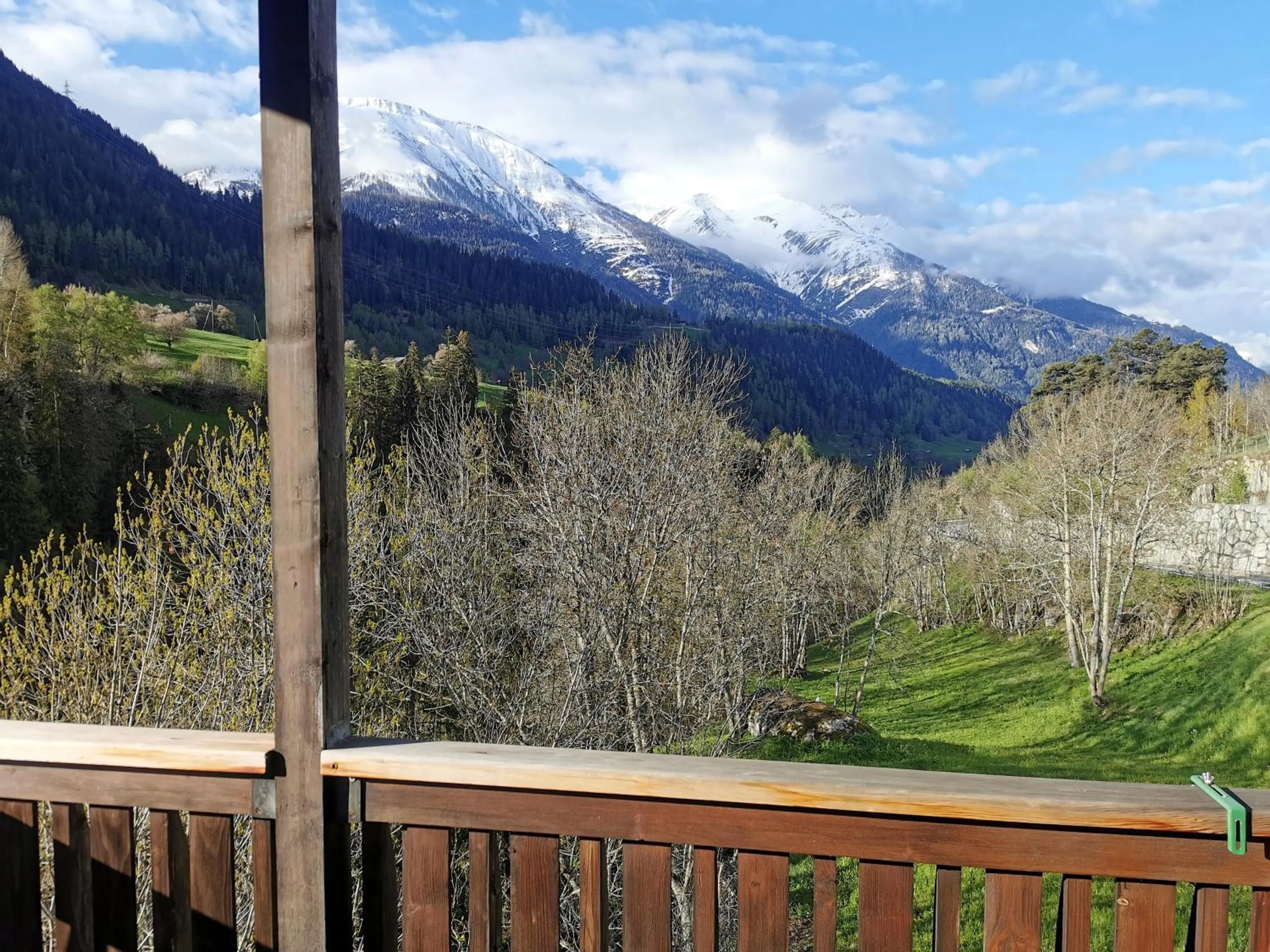 Natural landscape in Hotel Derby