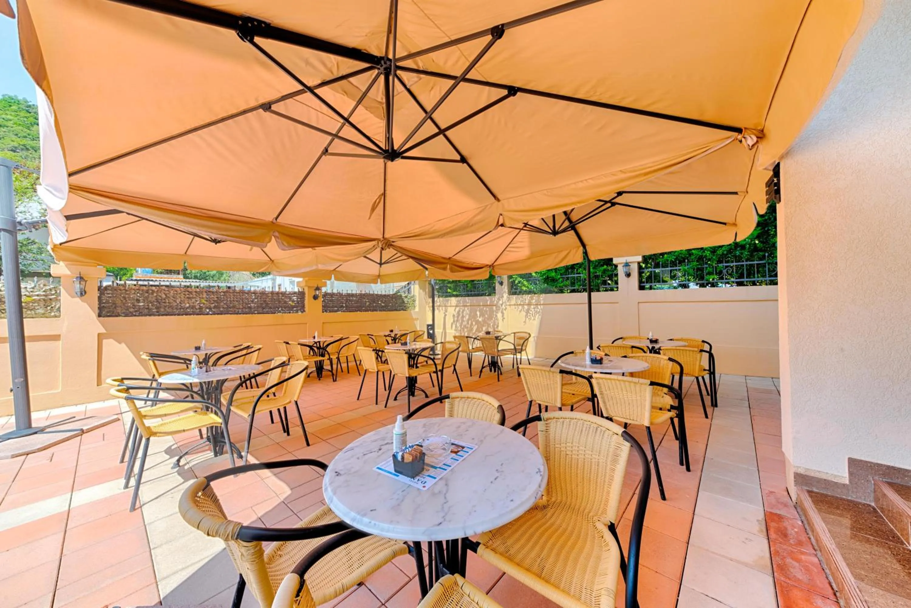 Garden in HOTEL DANA