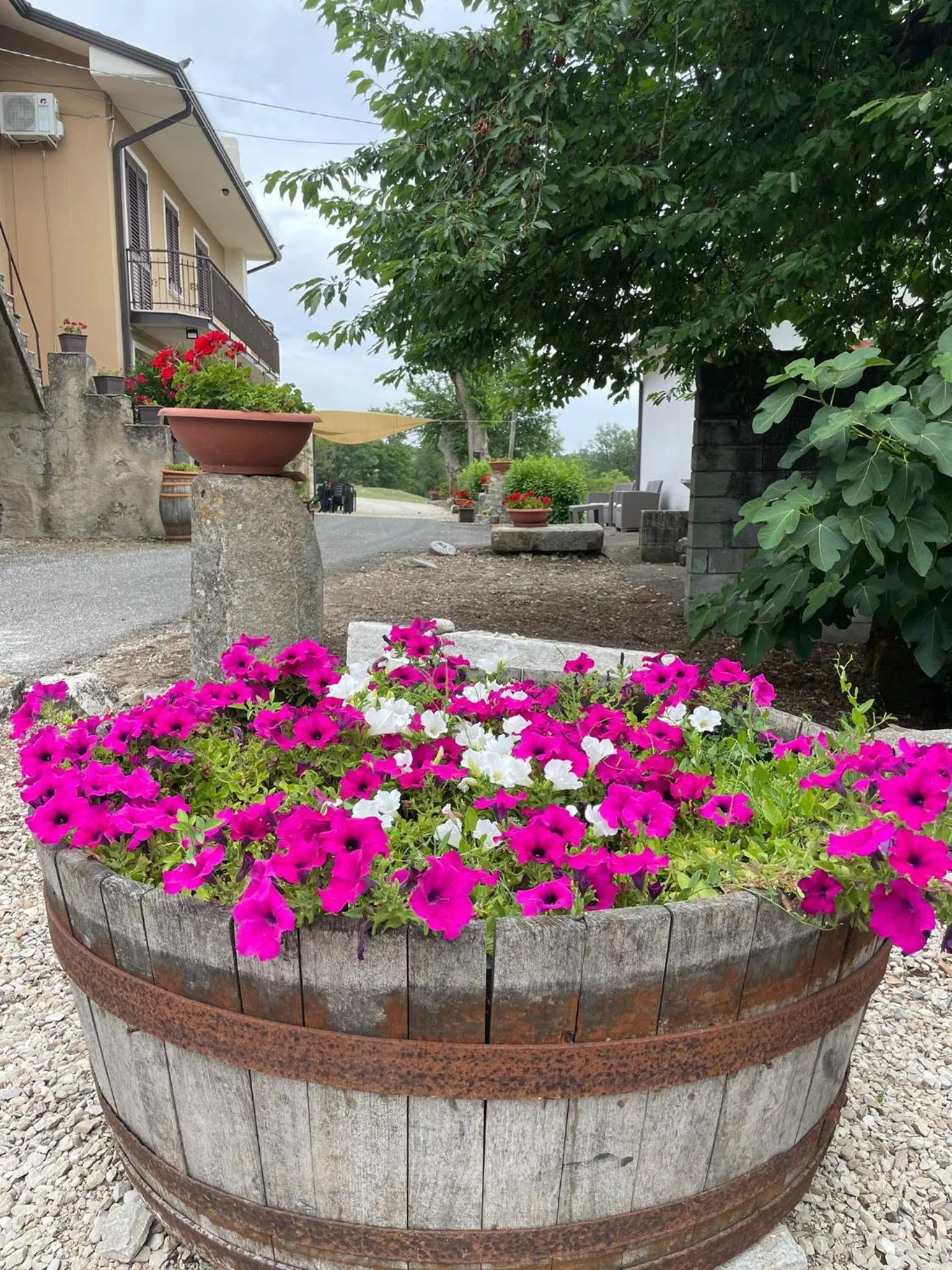 Garden view in B&B Relais Aeclanum