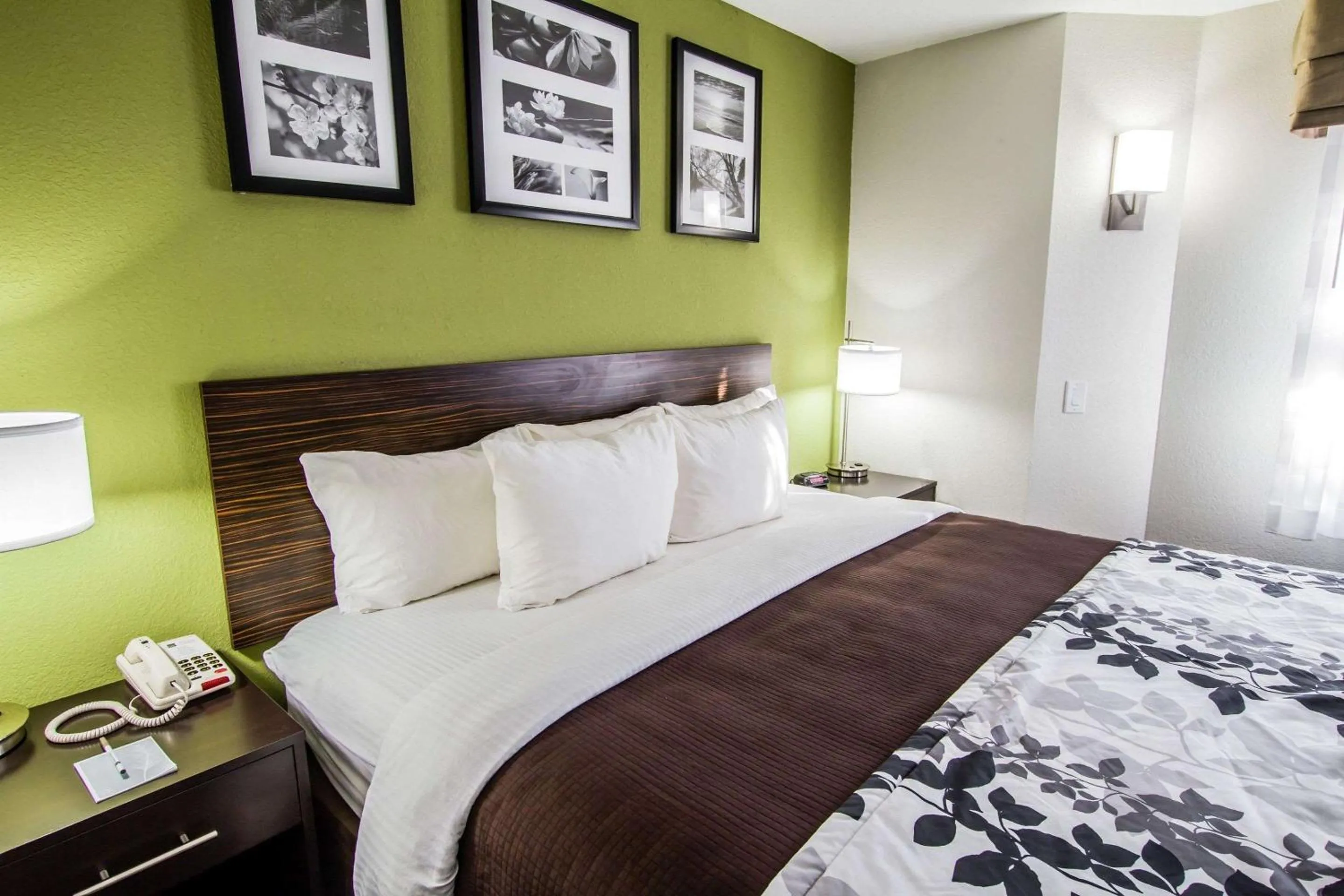 Bedroom, Bed in Sleep Inn Gallup