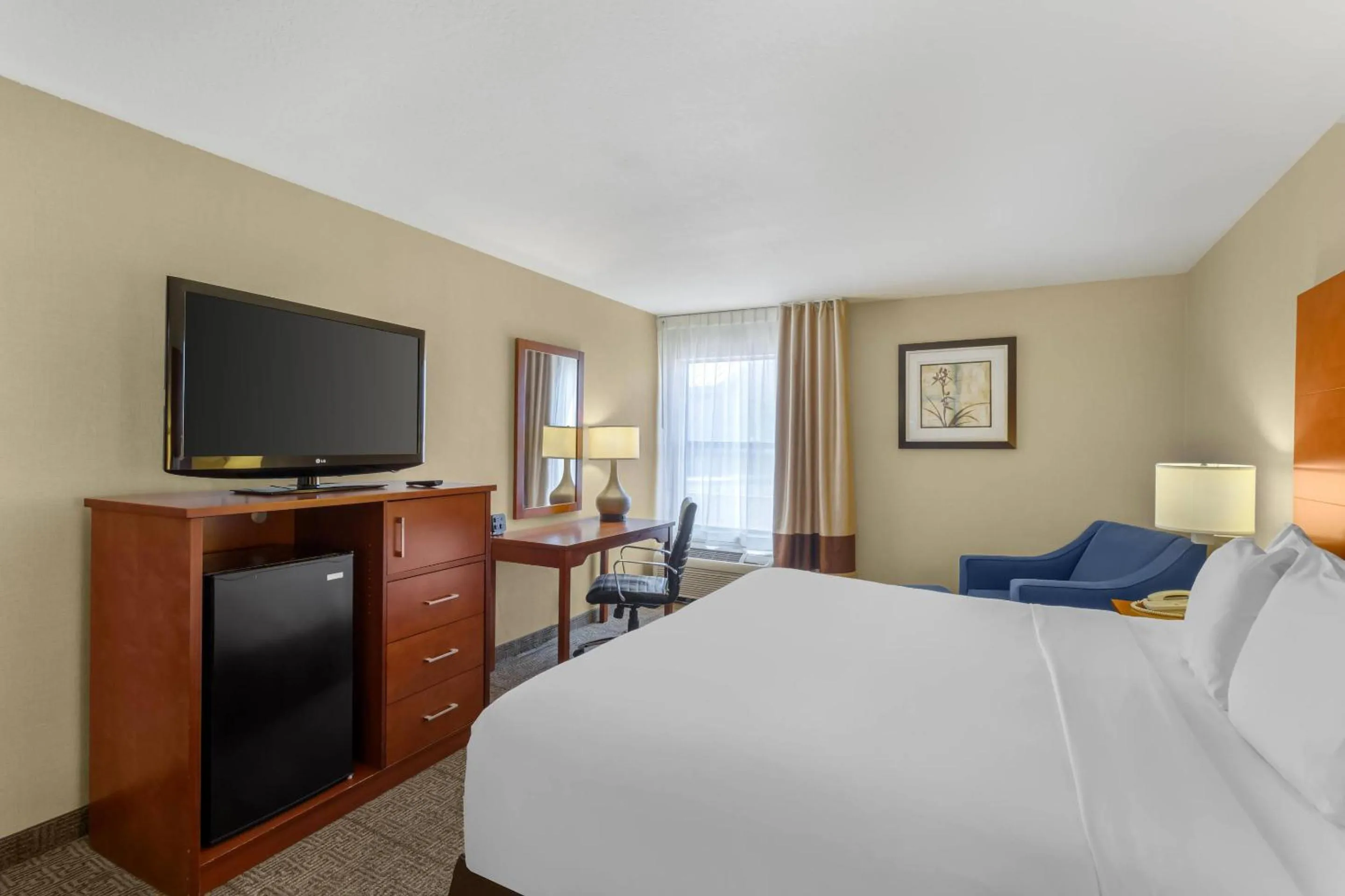 Bedroom, Bed in Comfort Inn & Suites Near Fallon Naval Air Station