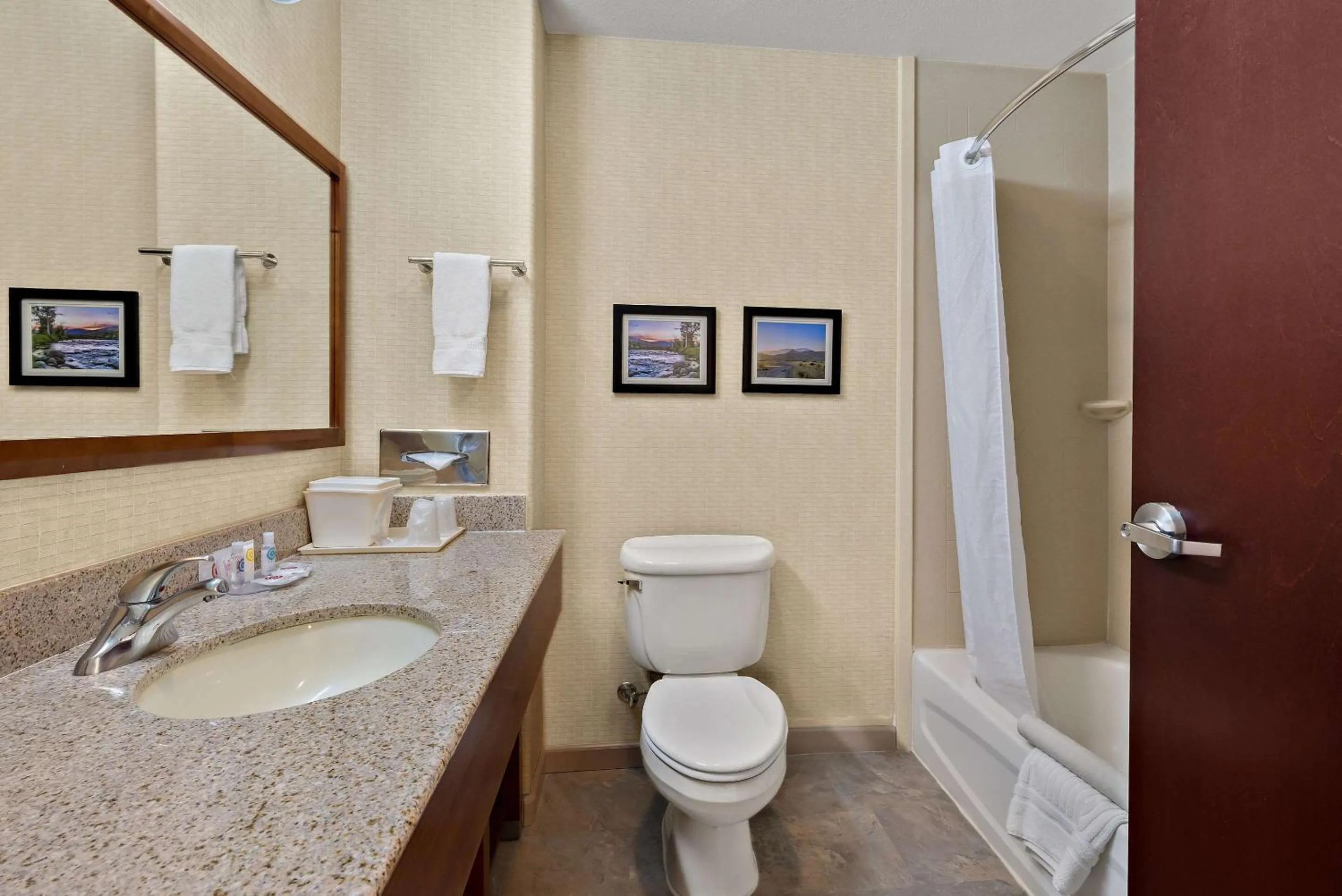 Bedroom in Comfort Inn & Suites Airport Convention Center