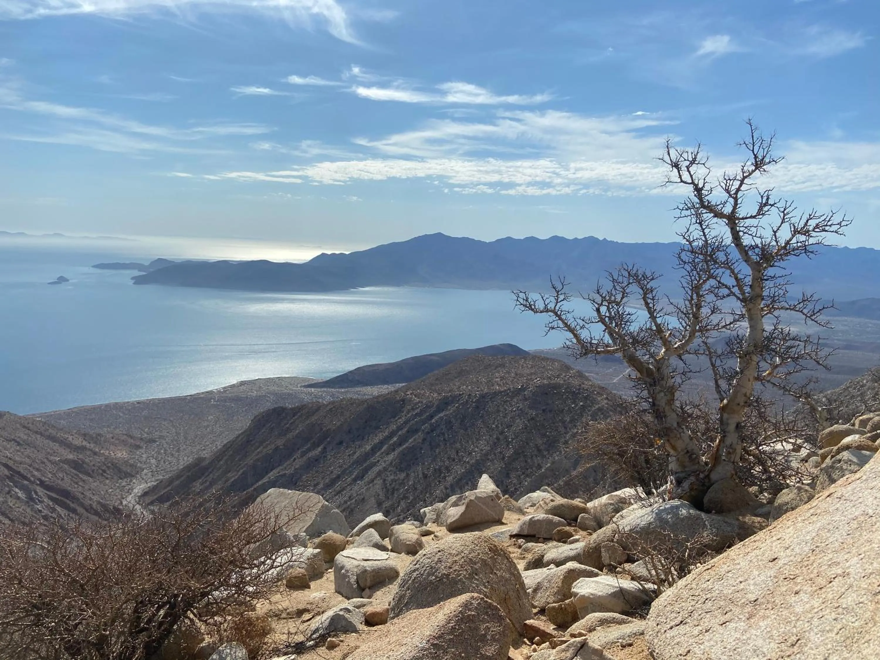 Natural landscape in Los Vientos Hotel