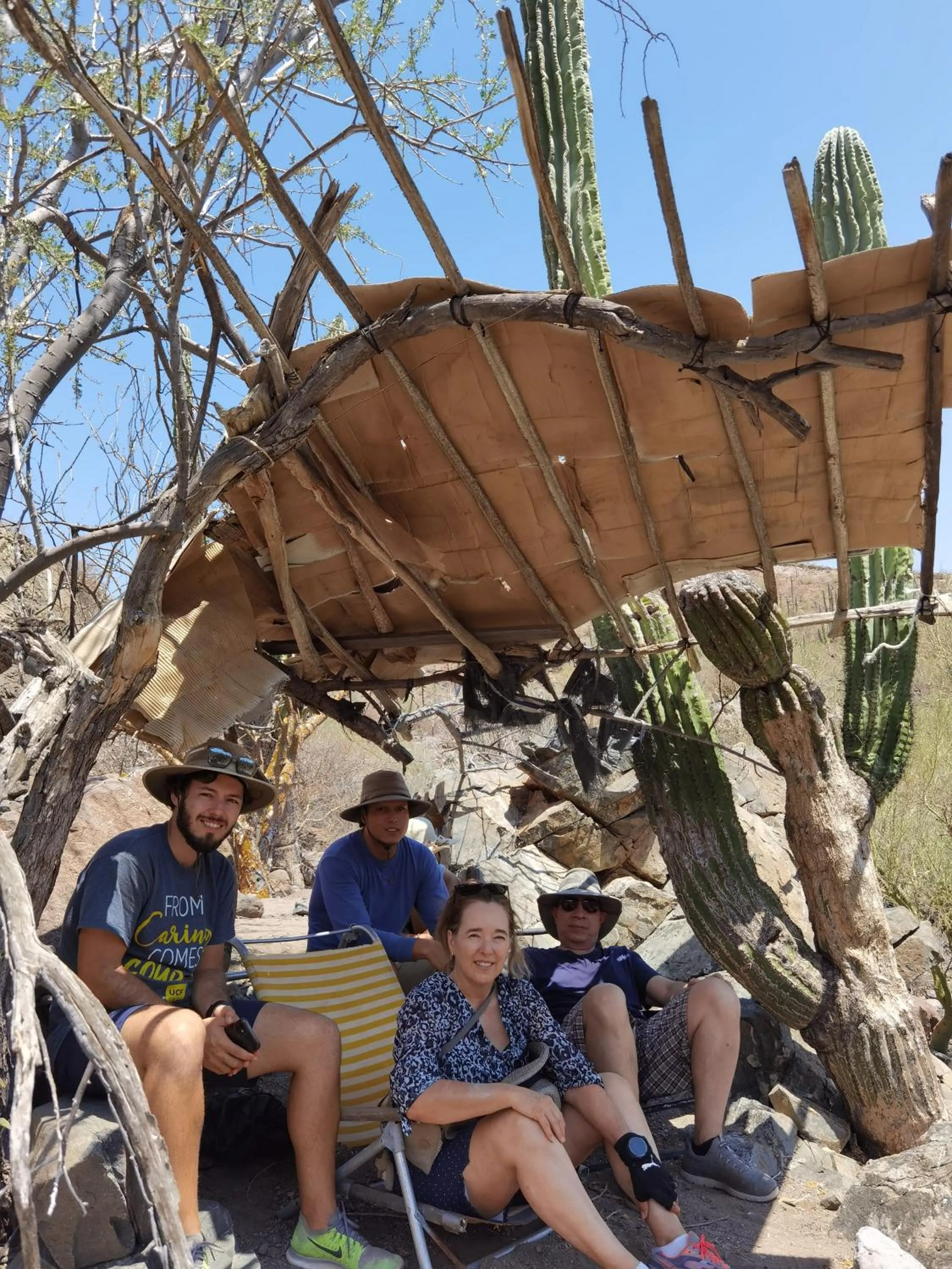 Animals in Los Vientos Hotel