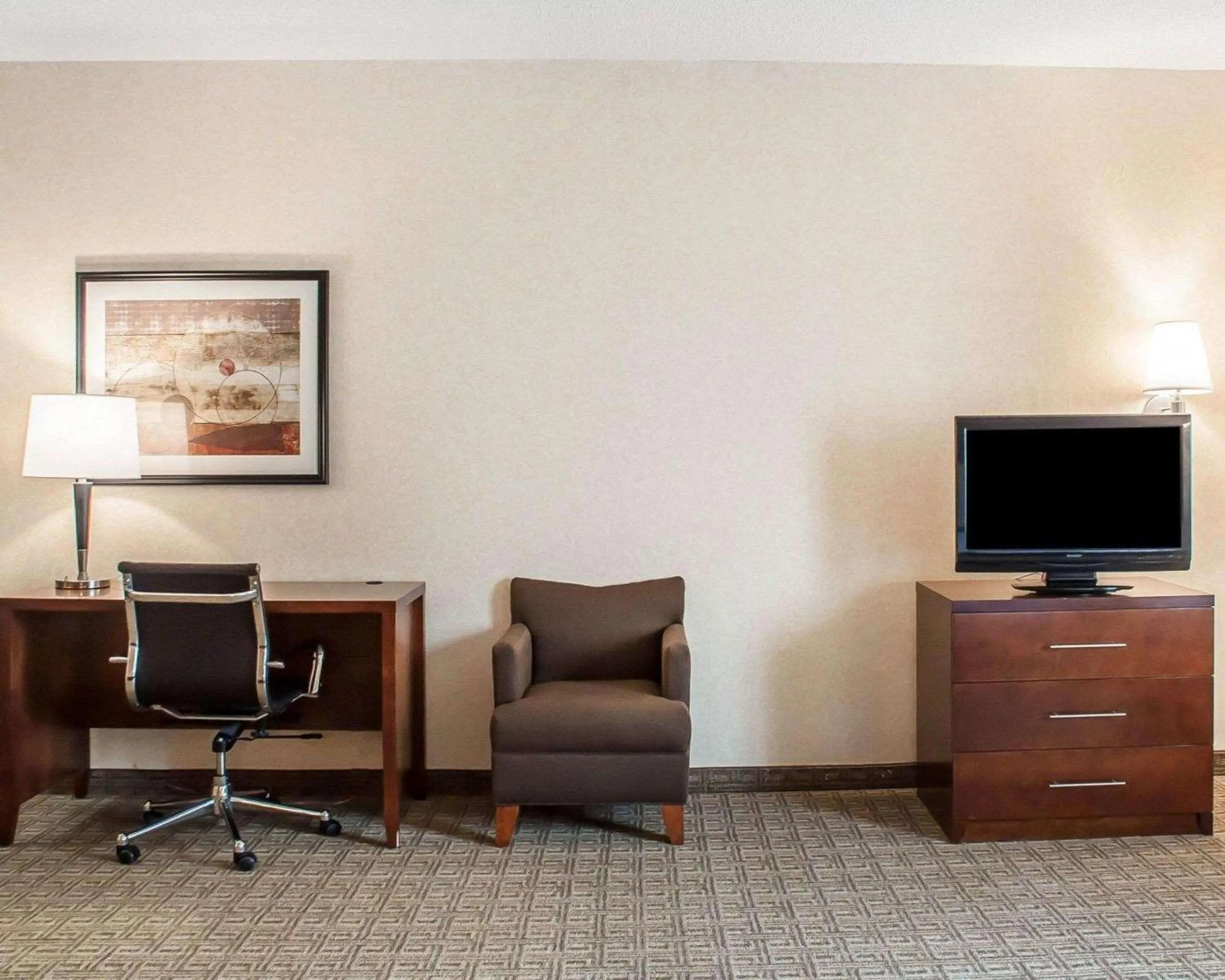 Photo of the whole room in Comfort Inn & Suites Hamburg - Buffalo South